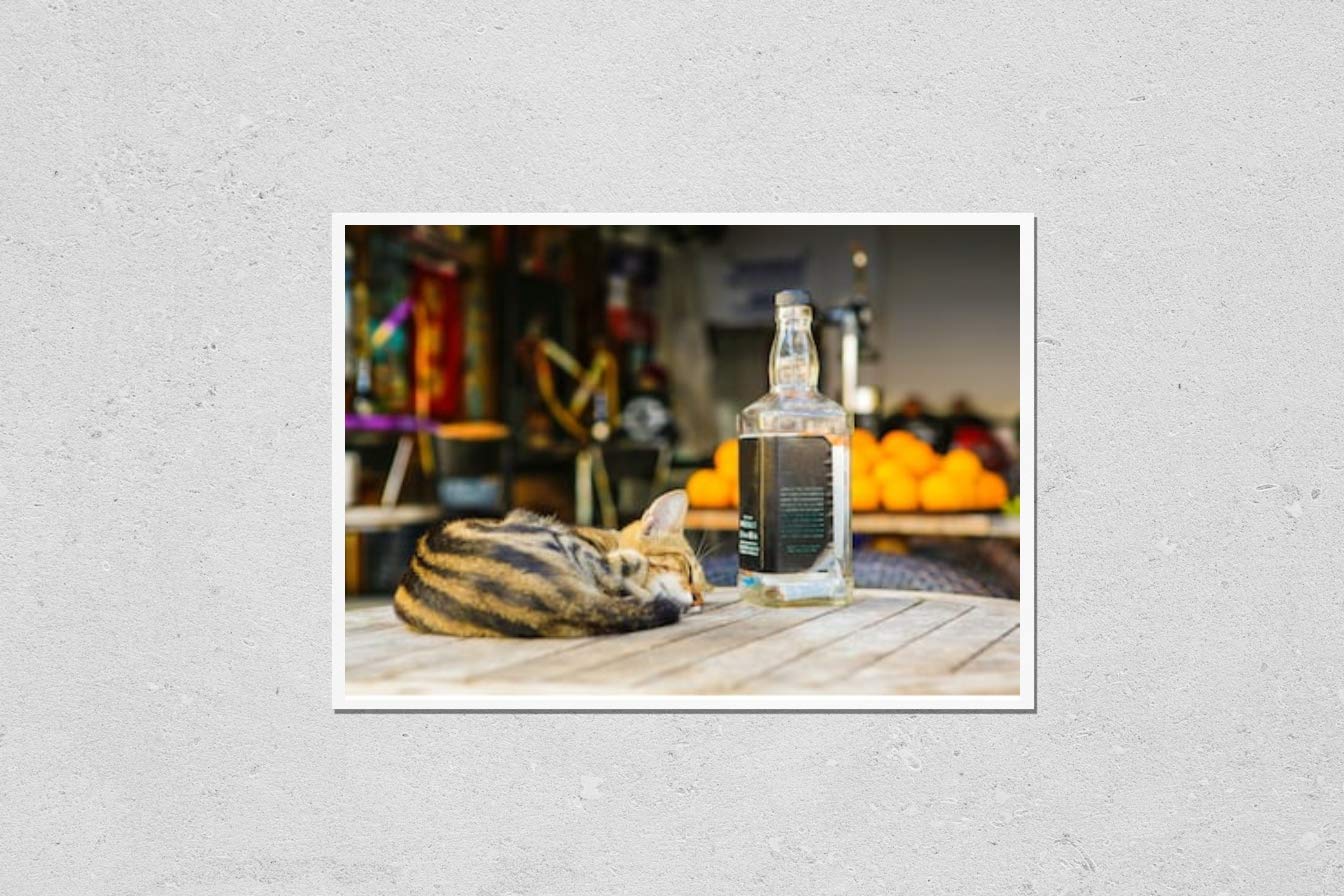 Vintage Drunk Cat Art Print - High-Quality Poster Reproduction for Home & Bar Decor - Perfect for Living Room, Bedroom, or Pub Wall Art