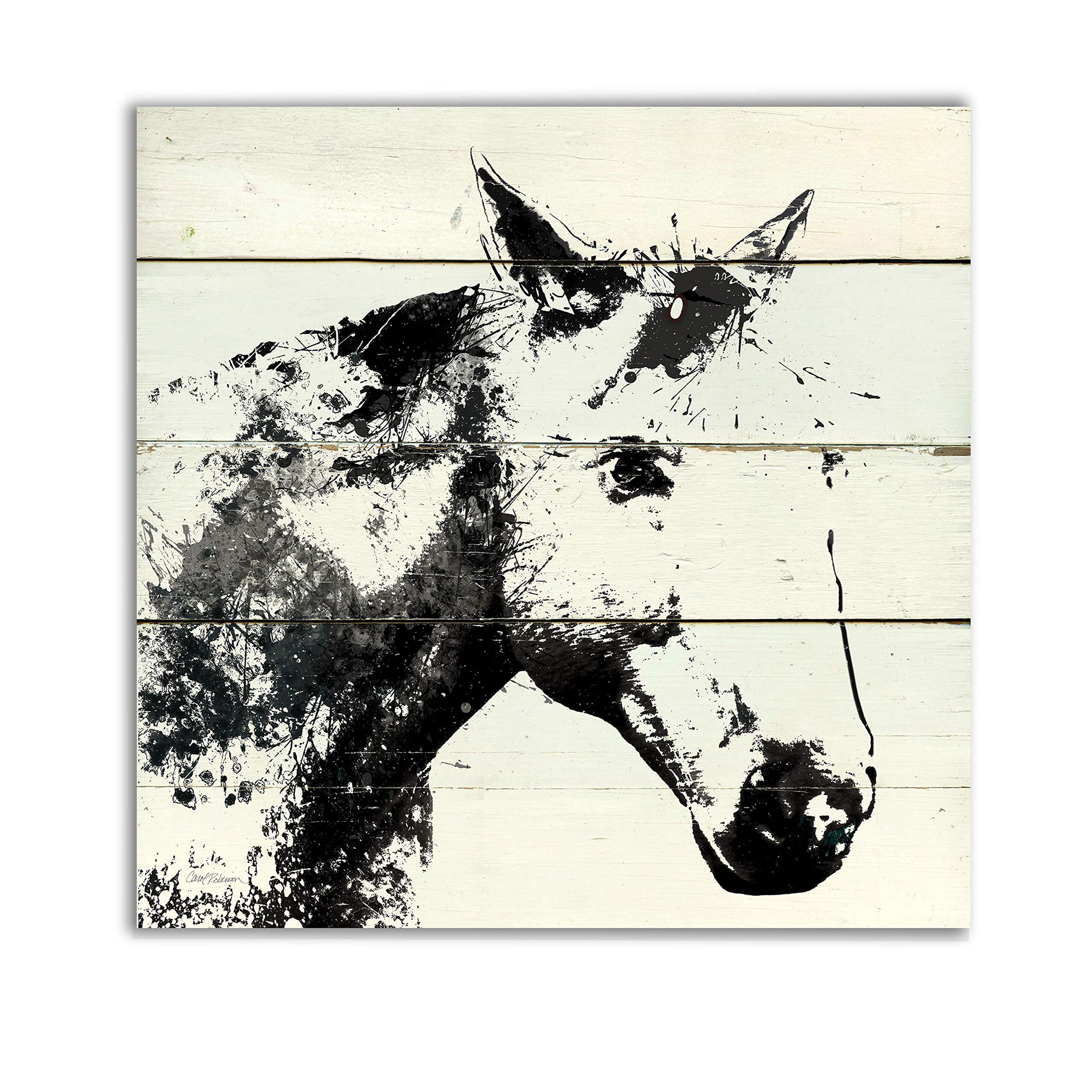 Wexford Home Barn Shadow Gallery Wrapped Canvas Art Print - 40x40 Inch Multicolor Wall Decor for Living Room, Bedroom & Office