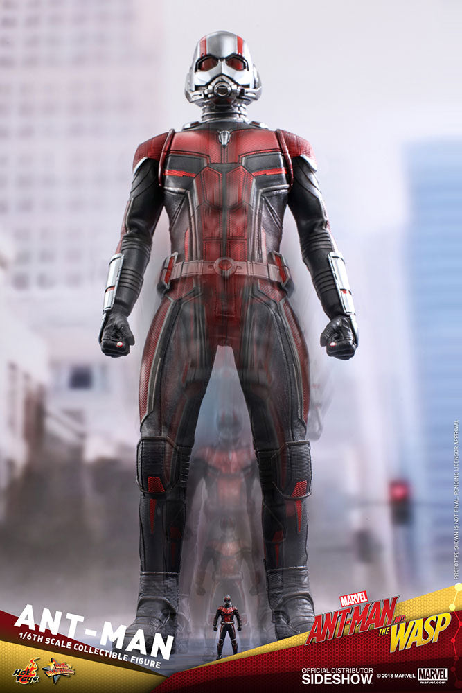 Hot Toys Marvel Ant-Man and The Wasp 1/6 Scale Collectible Action Figure - Perfect for Marvel Fans & Collectors | Display for Home, Office, or Comic Conventions
