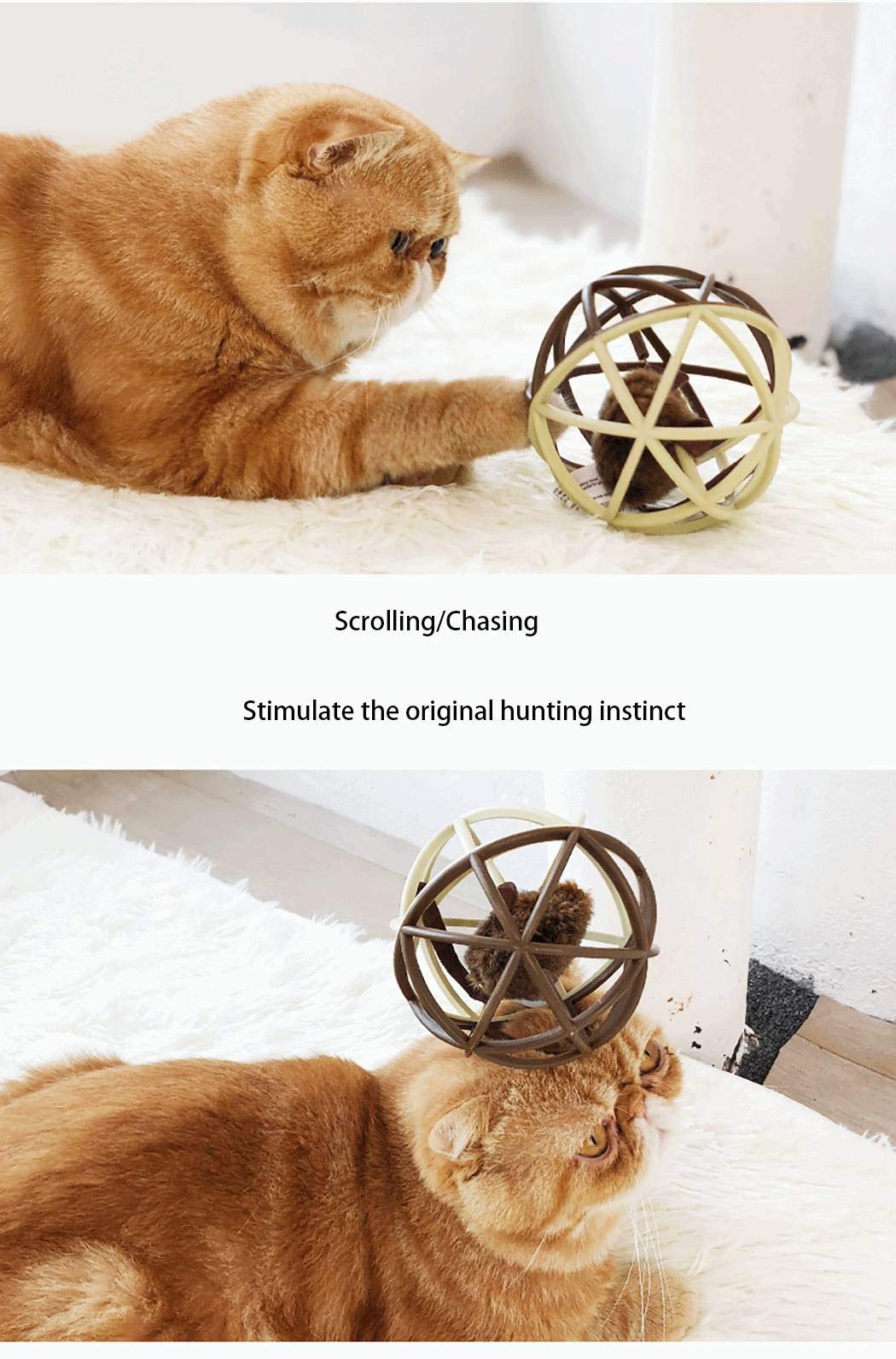 Interactive Cat Toy Ball with Squeaky Mouse - Fun Cage Ball for Indoor Cats - Perfect for Playtime, Exercise & Hunting Instincts - Great for Kittens & Adult Cats