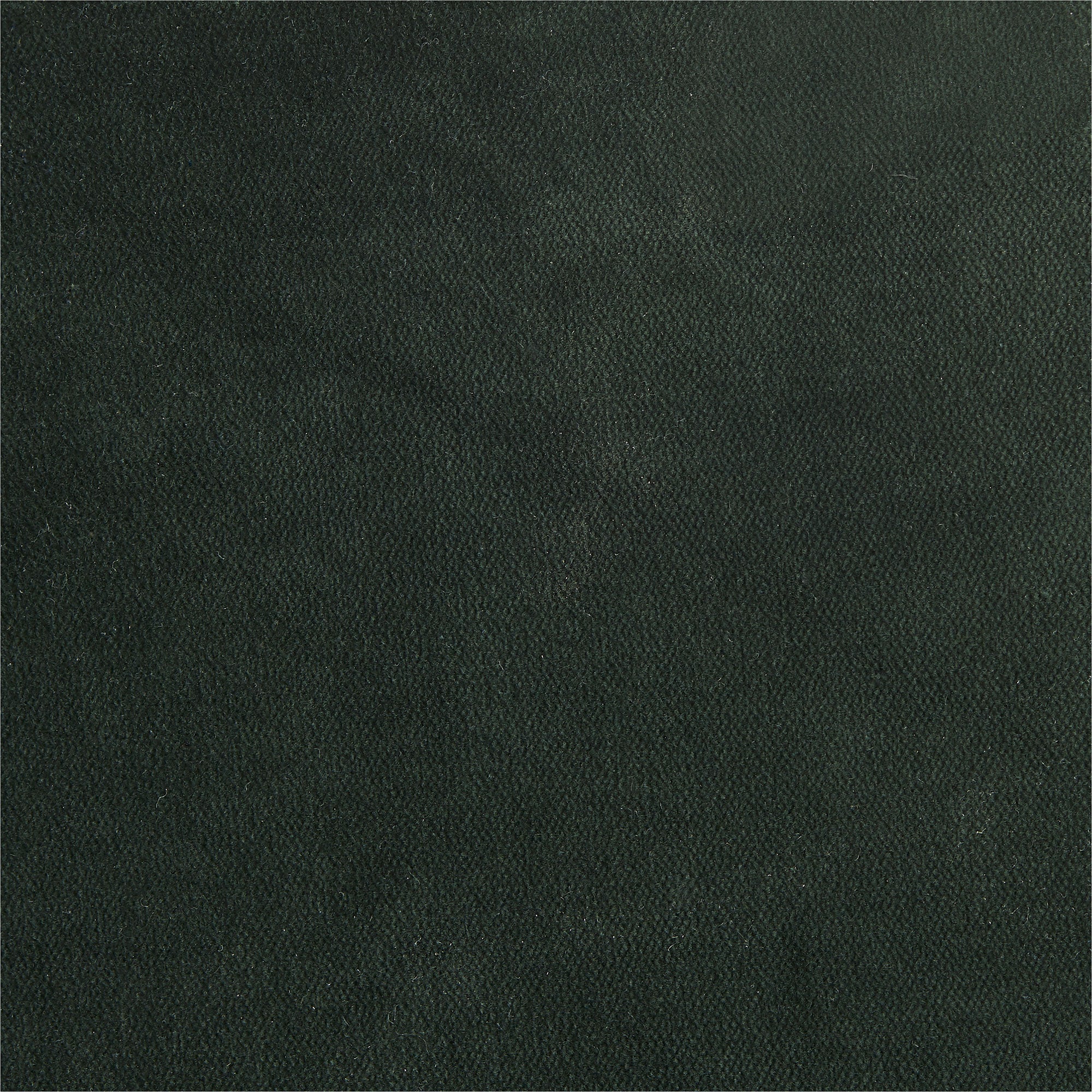 Budelli Wing Chair in Forest Velvet - Luxurious Velvet Accent Chair for Living Room, Bedroom, or Office - Perfect Reading Chair & Cozy Lounge Seating