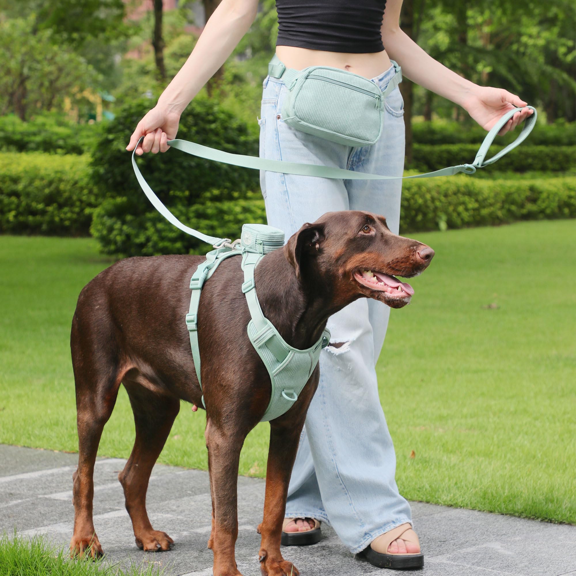 Custom Personalized Dog Harness and Leash Set with Name - Reflective No-Pull Adjustable Pet Vest with Poop Bag Holder - Beige Gray & Green Olive (Small) - Perfect for Walking, Training & Outdoor Adventures