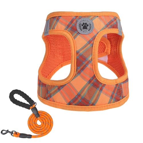 Light Orange