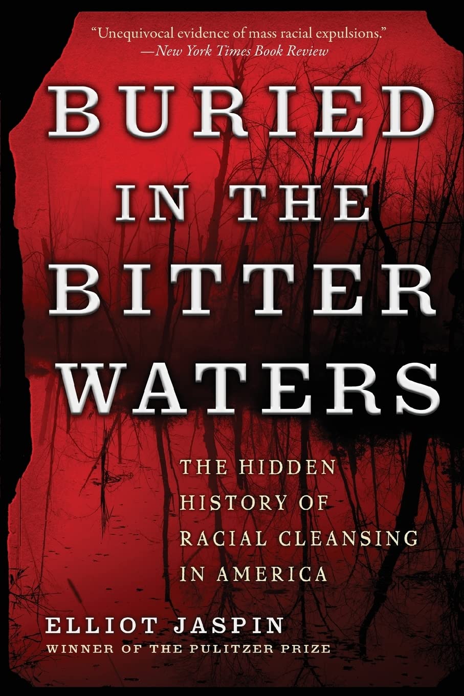 Buried in the Bitter Waters: The Hidden History of Racial Cleansing in America - Explore America's Forgotten Racial Conflicts for History Enthusiasts