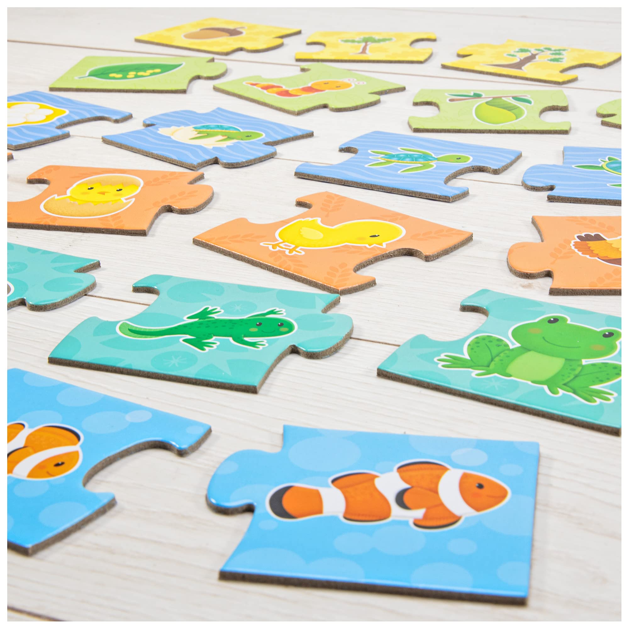 Galt Toys How Things Grow Puzzle - Educational Jigsaw Puzzle for Kids Ages 3+ | Fun Learning Activity for Preschoolers & Toddlers