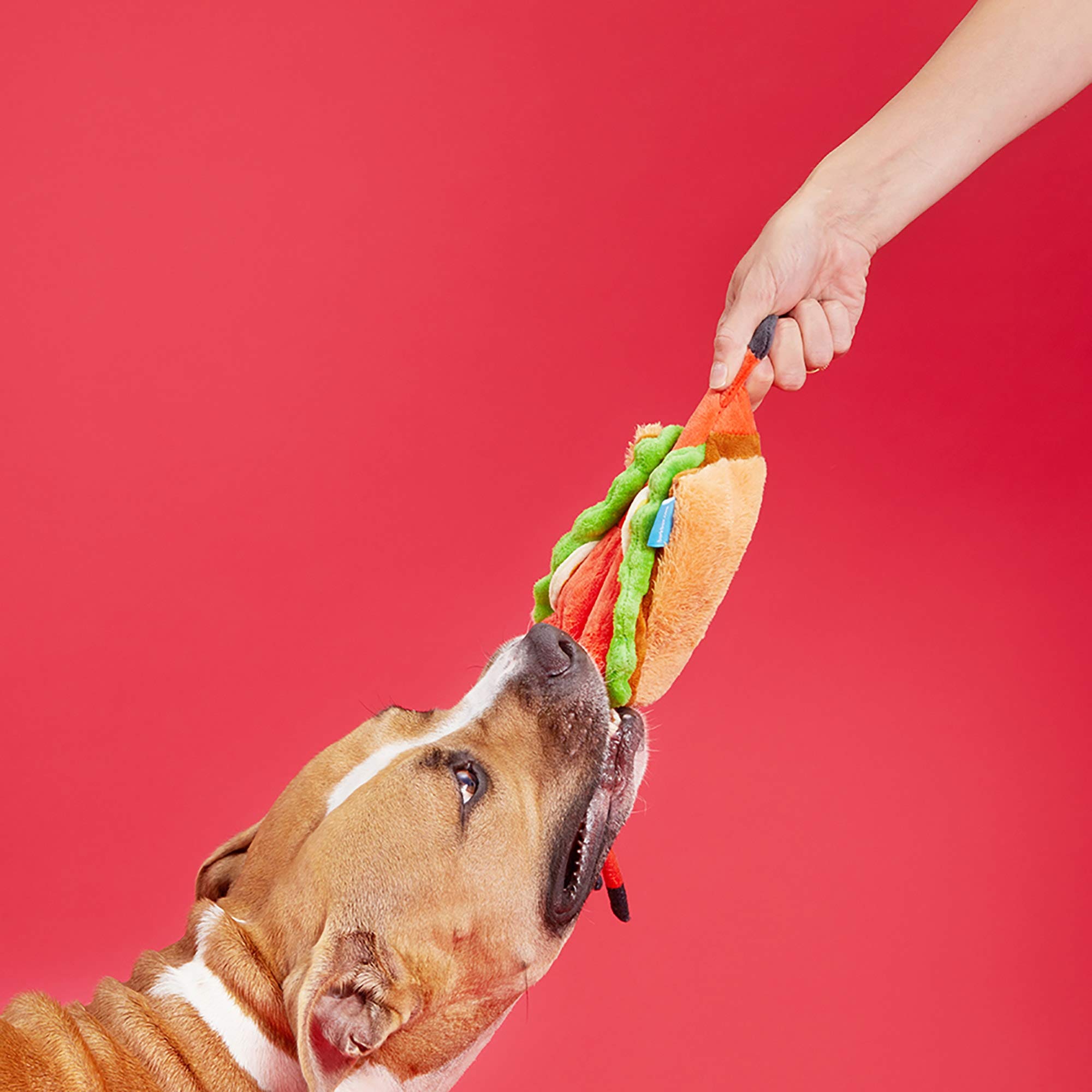 BARK Max's Maine Lobster Roll Dog Toy - Large Chew Toy for Aggressive Chewers | Durable & Fun Plush Dog Toy for Large Breeds | Perfect for Playtime, Training & Cuddling