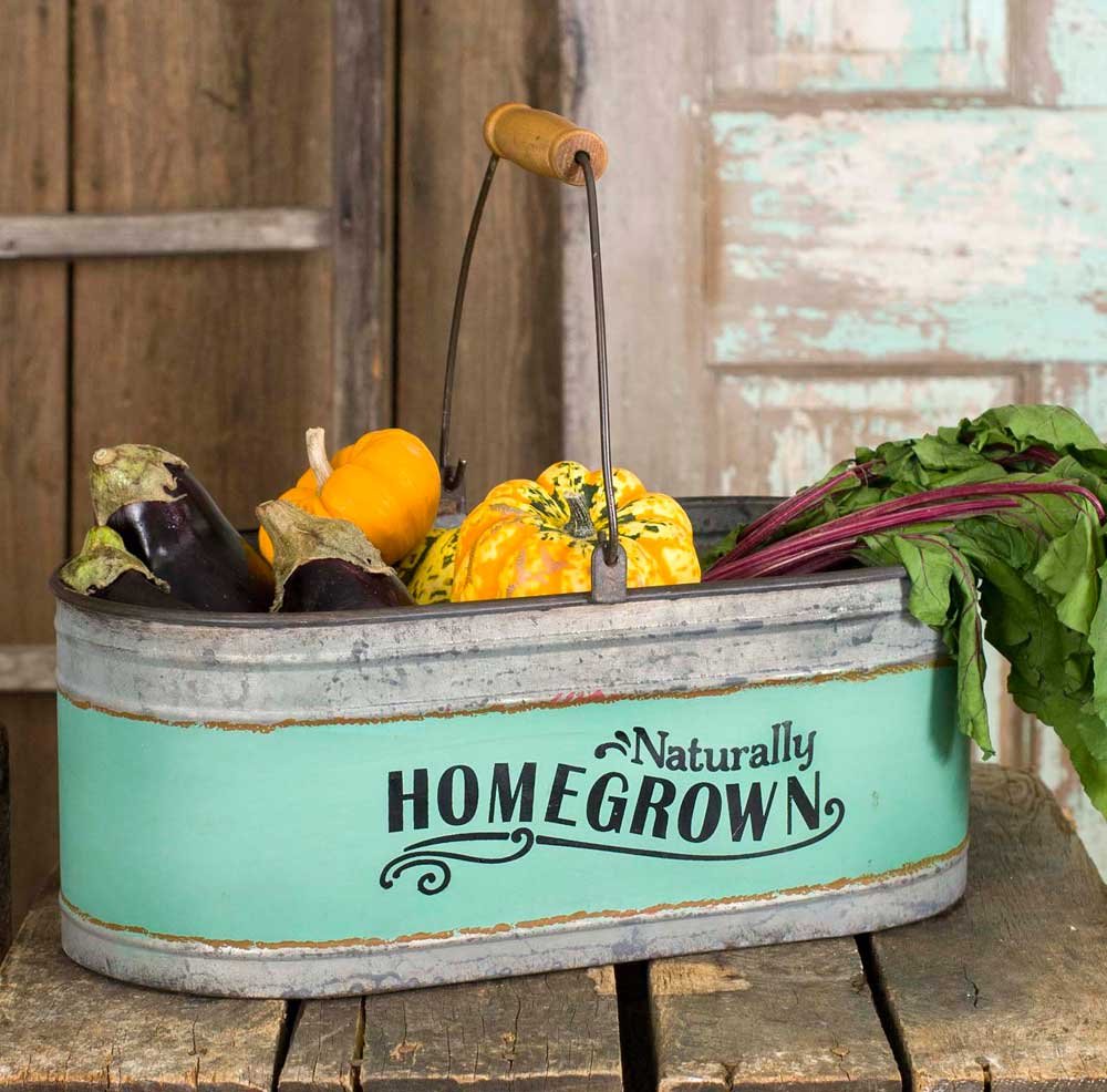 CTW Homegrown Bucket - 5 Gallon Durable Plant Pot with Handle for Indoor/Outdoor Gardening, Planting, and Storage - Perfect for Growing Vegetables, Flowers, and Organizing Tools