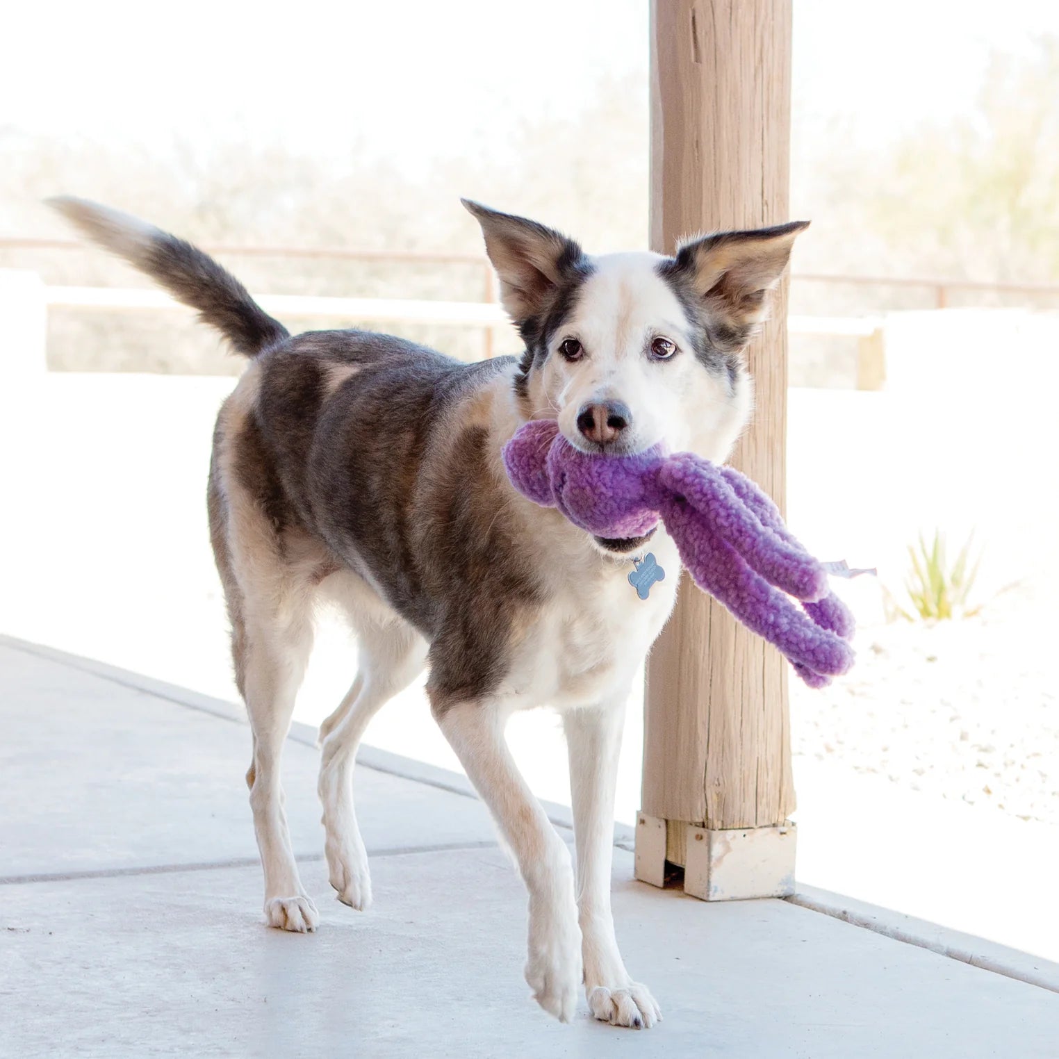 Snugga Wubba Blue Plush Dog Toy - Durable Chew Toy for Small & Large Dogs - Perfect for Fetch, Tug-of-War & Interactive Play