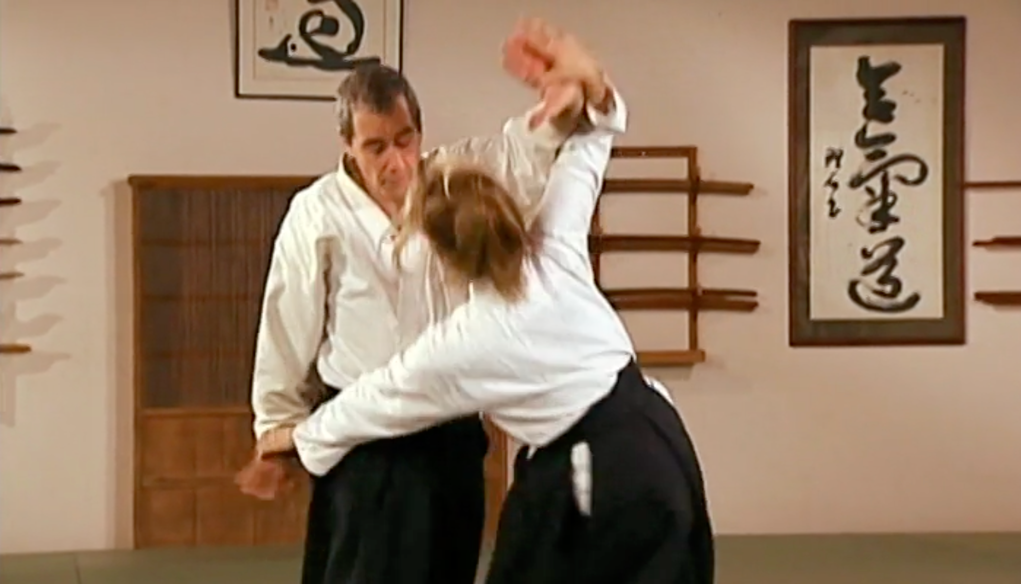 Aikido in Three Easy Lessons DVD by Richard Moon – Learn Aikido Basics for Beginners | Self-Defense & Martial Arts Training at Home