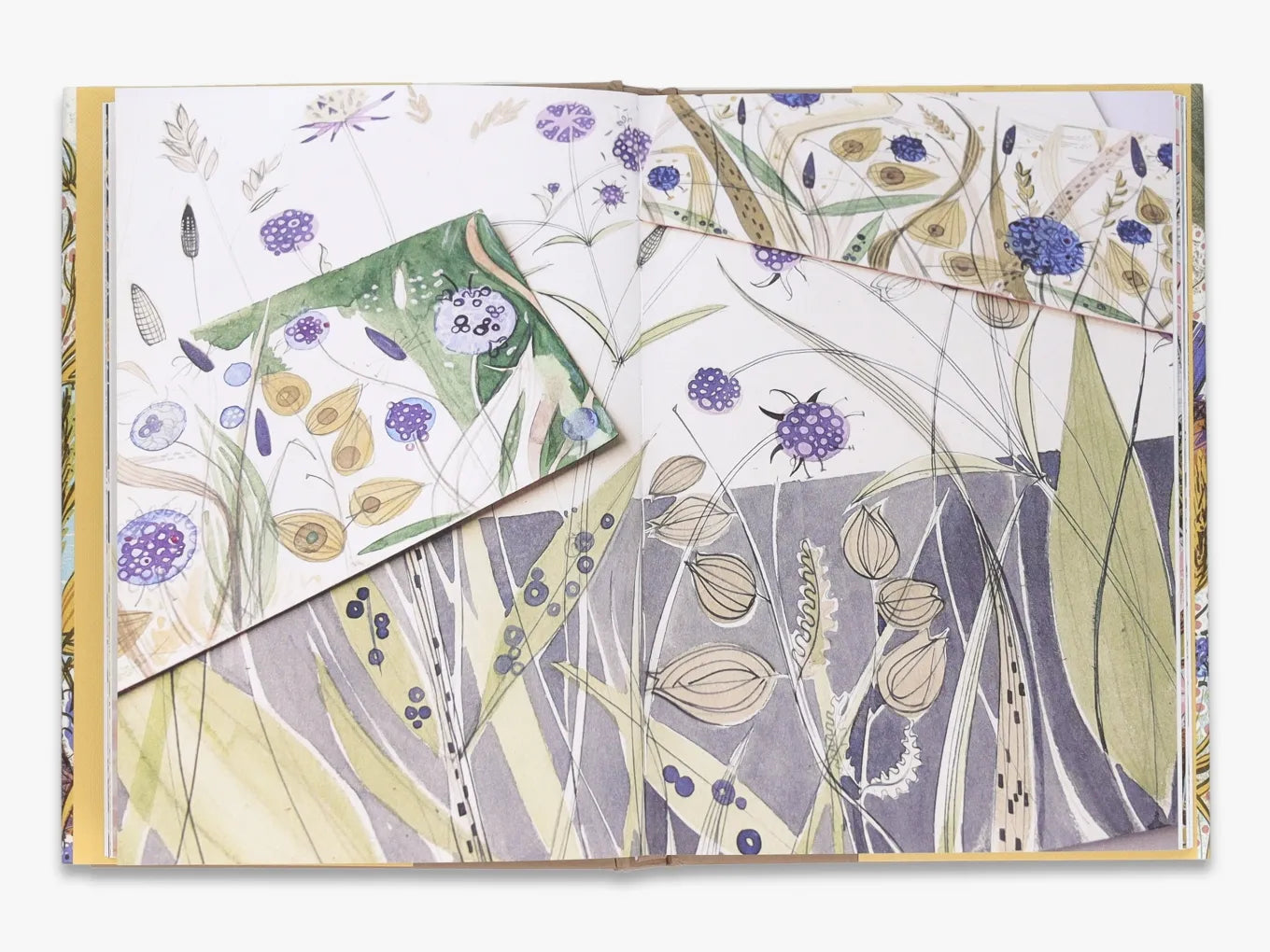 The Book of Wild Flowers - A Comprehensive Guide to North American Wildflowers | Perfect for Nature Lovers, Hikers & Gardeners