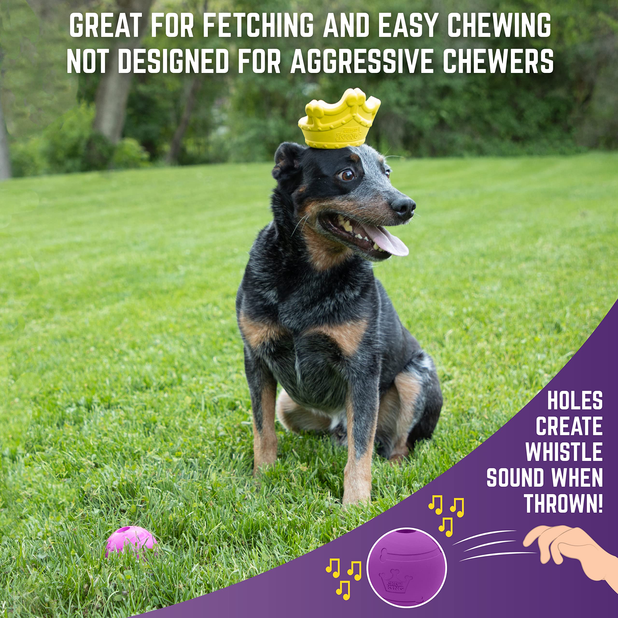 Durable Crown Chew Toy & Ball for Dogs – Interactive Pet Chewing Toy for Puppies & Adult Dogs – Perfect for Teething, Playtime & Training