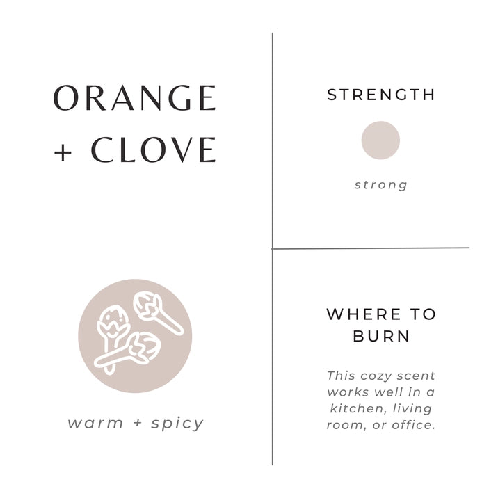 Orange & Clove Scented Frosted Candle - Handmade Soy Wax Candle for Home, Relaxation & Aromatherapy | Perfect for Living Room, Bedroom & Bathroom Decor