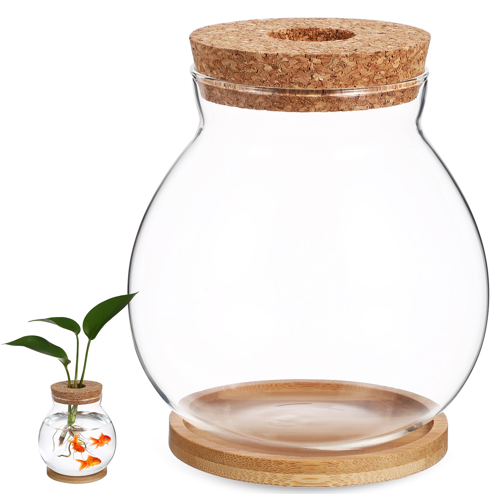 Balacoo Clear Glass Desktop Hydroponic Fish Bowl with Bamboo Cushion & Wood Lid - Small Betta Fish Tank & Plant Terrarium for Home Office Decor | Perfect for Desk Decor, Zen Gardens, and Indoor Plant Displays
