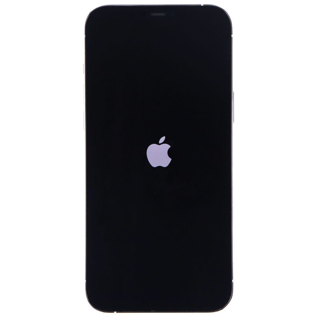 Apple iPhone 12 Pro Max Unlocked 6.7