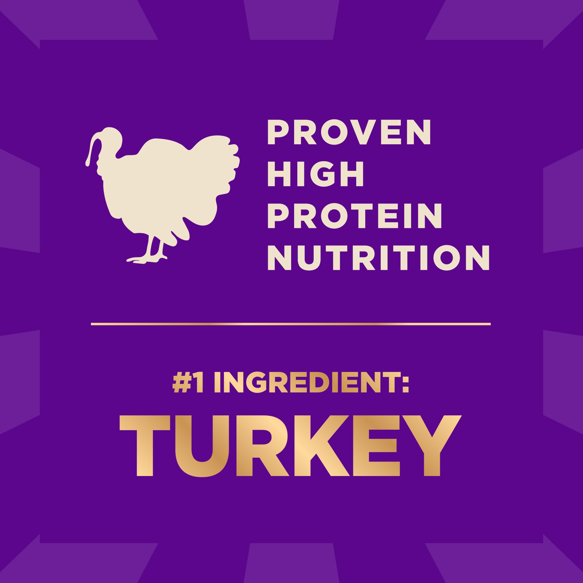 Wellness CORE+ Grain Free High Protein Dry Dog Food for Small Breeds - Original Turkey & Chicken Recipe with Freeze Dried Pieces (4lb Bag) | Perfect for Active Small Dogs & Puppies at Home or Travel