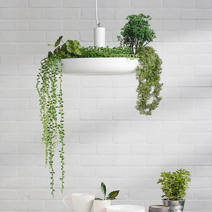 Modern Plant Pendant Hanging Lights - Energy Efficient Indoor/Outdoor Decorative Lighting for Living Room, Bedroom, Patio & Garden
