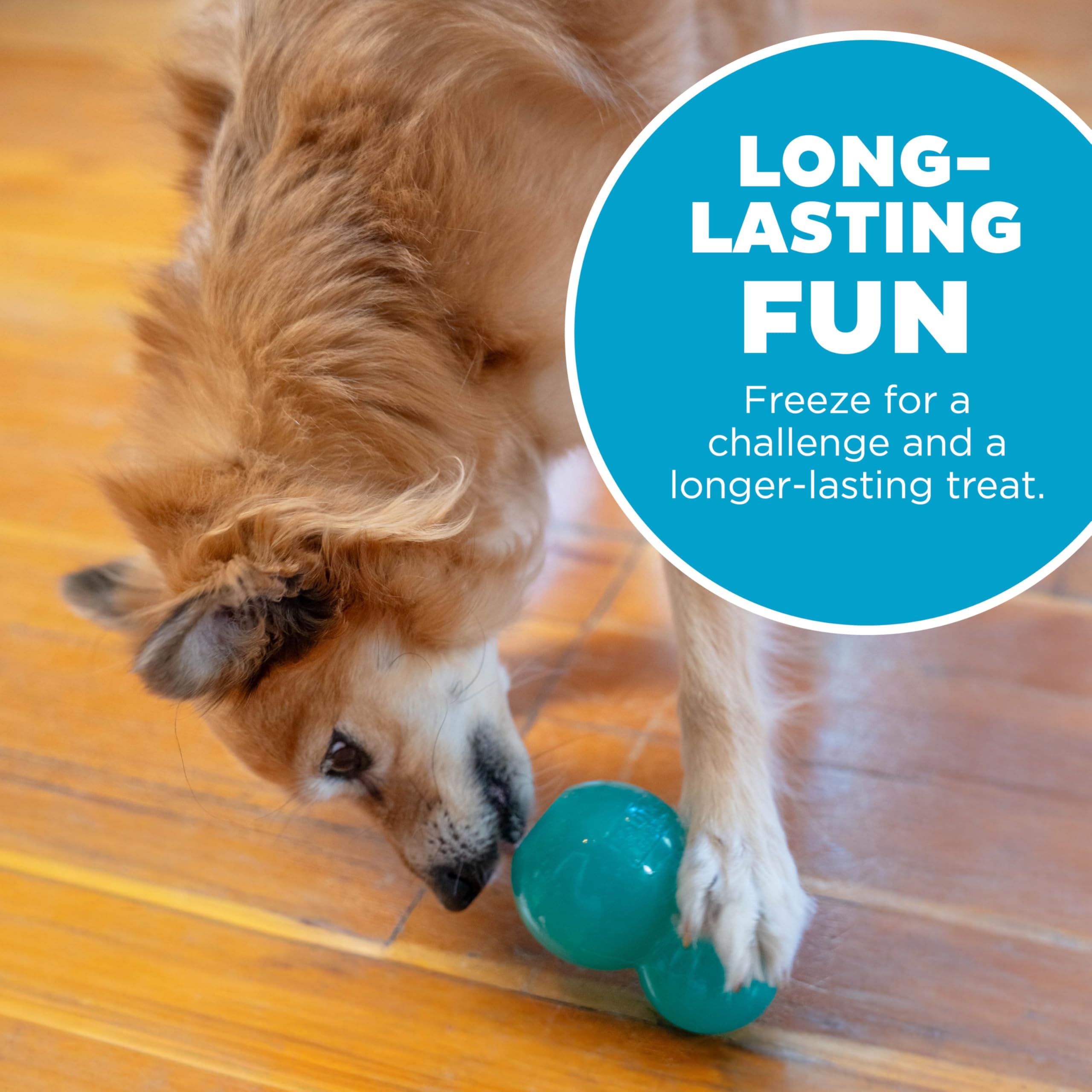 Outward Hound Durable Double-Tuff Interactive Treat Stuffer Dog Chew Toy - Medium Blue for Aggressive Chewers | Perfect for Training, Boredom Relief & Mental Stimulation