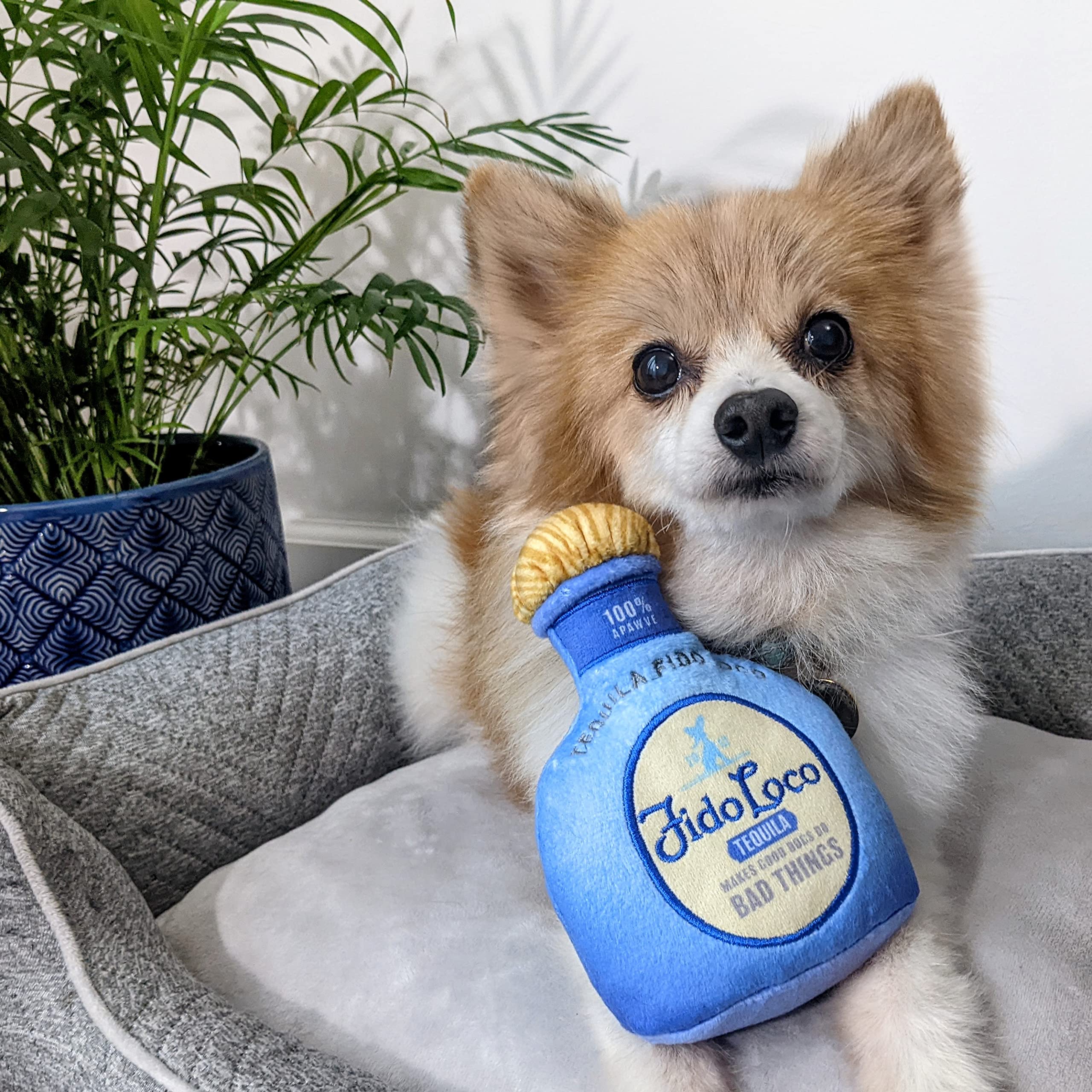 Huxley & Kent Squeaky Plush Dog Toy for Large Dogs - Funny & Durable Power Plush with Squeaker - Perfect for Playtime, Training & Gifts (Fido Loco Tequila Design) - Safe & Entertaining for Your Pet