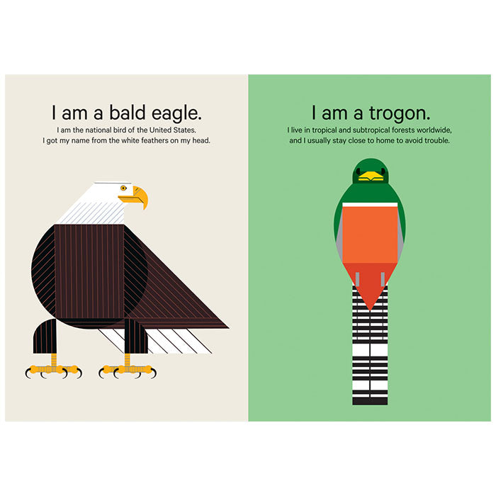 Charley Harper’s Sticky Birds: Animal Sticker Kit for Kids - Creative Art Activity, DIY Craft Projects & Scrapbooking Supplies