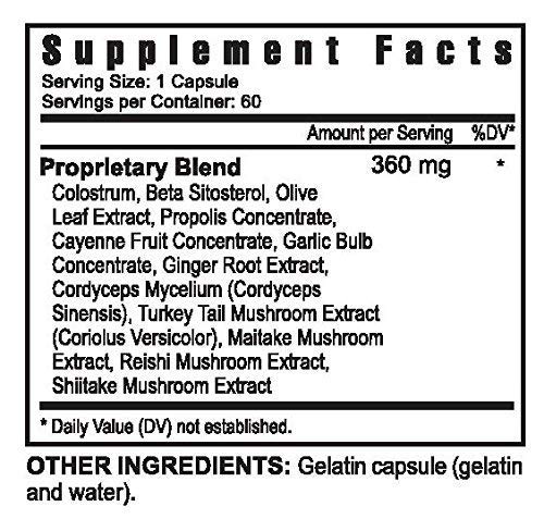 Immune Enhancing Killer BIOTIC FX - 60 Capsules per Bottle (Pack of 2) - Premium Probiotic Supplement for Gut Health & Immunity Boost - Perfect for Daily Wellness, Travel, and Immune Support