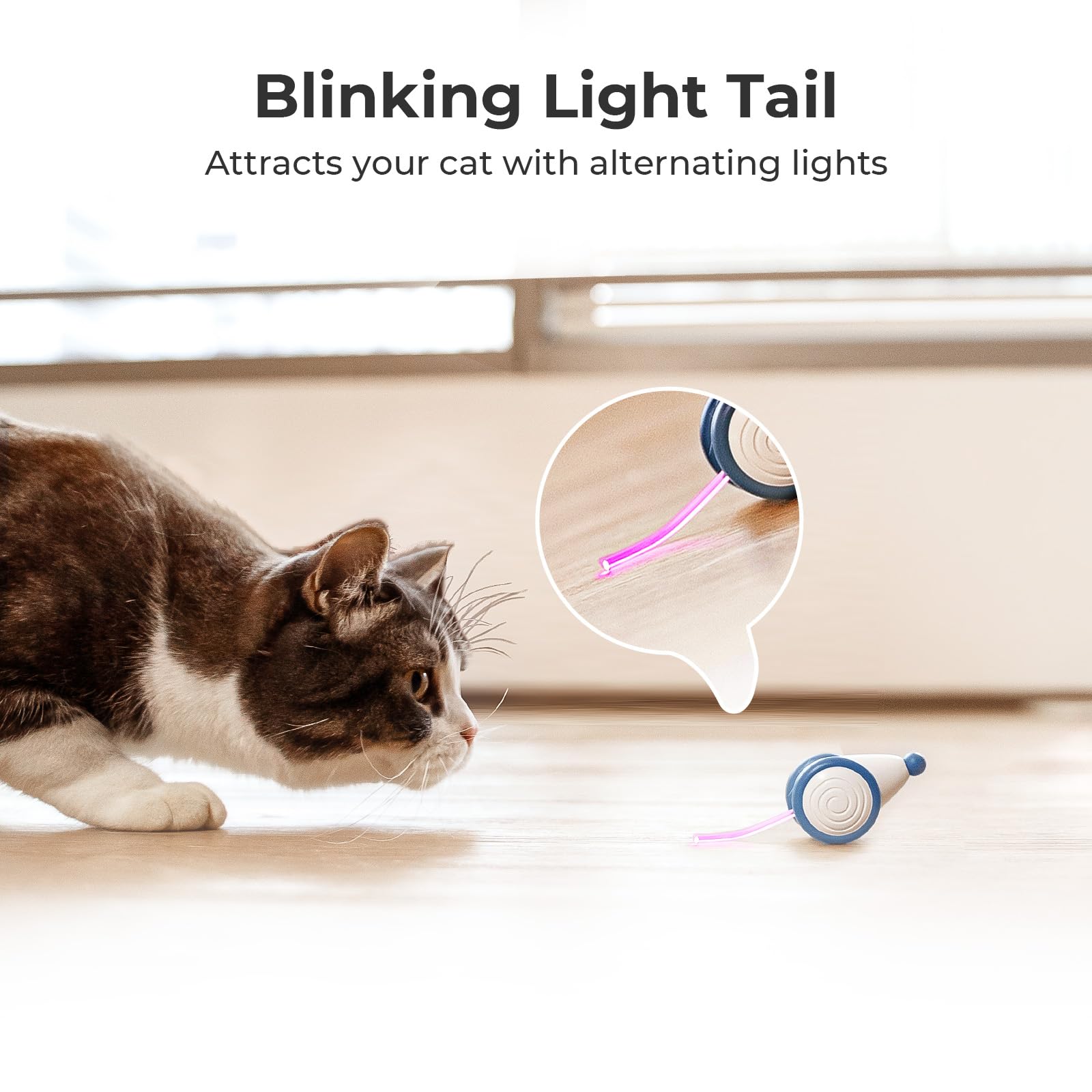 Cheerble Interactive Cat Toys for Indoor Cats - Automatic LED Light-Up Wicked Mouse Toy, Smart Electric Kitten Toy with USB Rechargeable & Auto On/Off (Blue) - Perfect for Playtime, Exercise, and Boredom Relief for Your Feline Friend