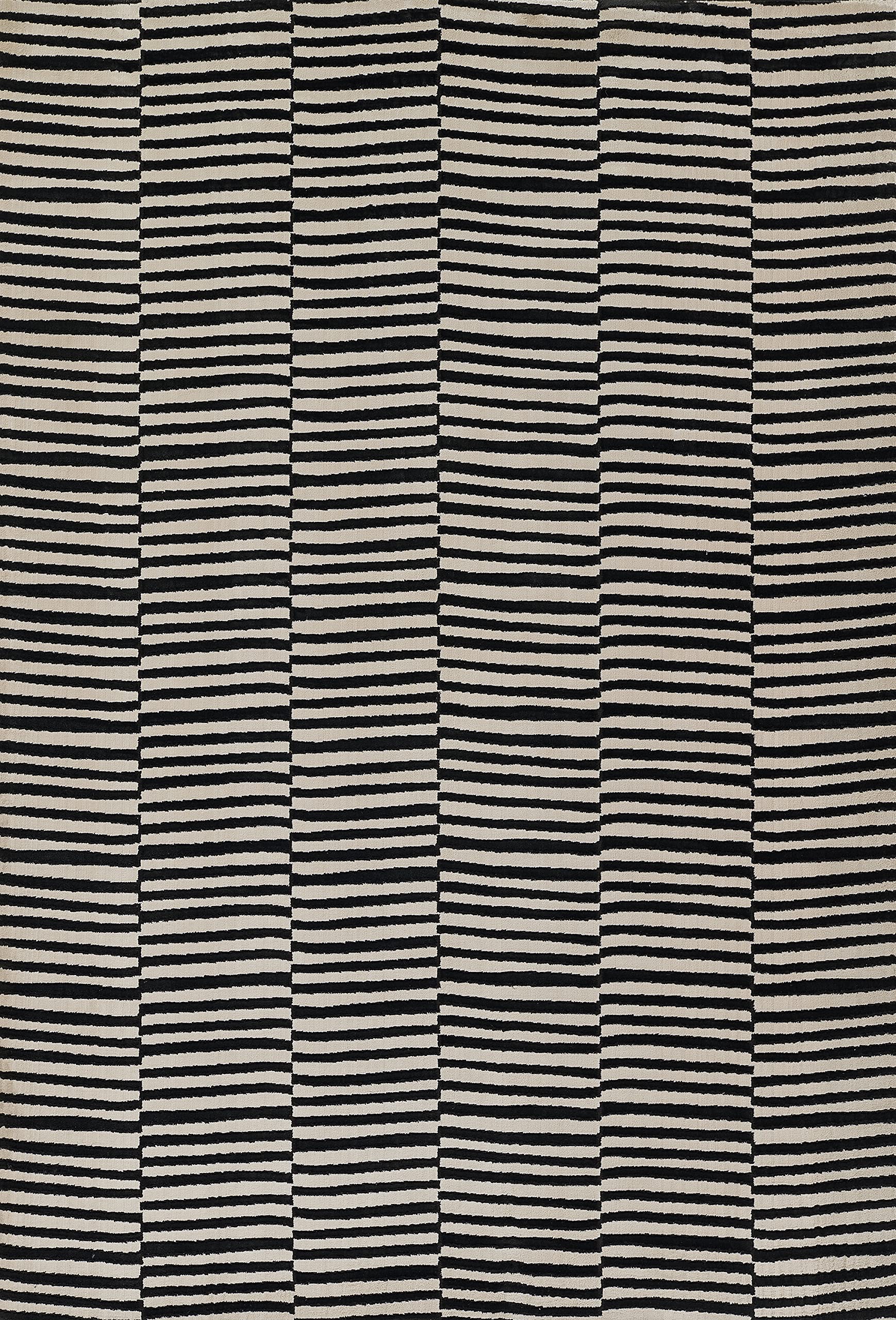 Momeni Xander Black Polyester Blend Area Rug 5'3