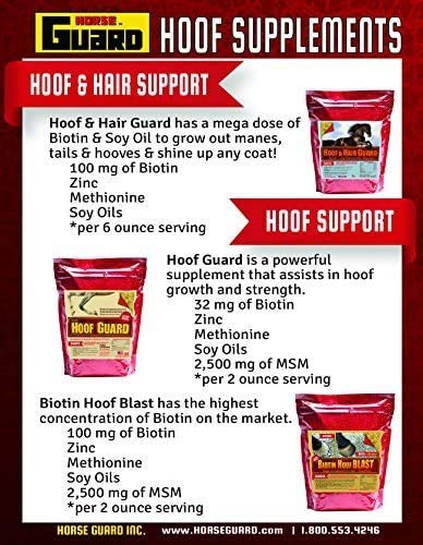 Hoof & Hair Guard 40 lb - Premium Horse Hoof Strengthener & Coat Conditioner Supplement for Stronger Hooves & Shiny Coat - Ideal for Show Horses, Racehorses & Performance Equines