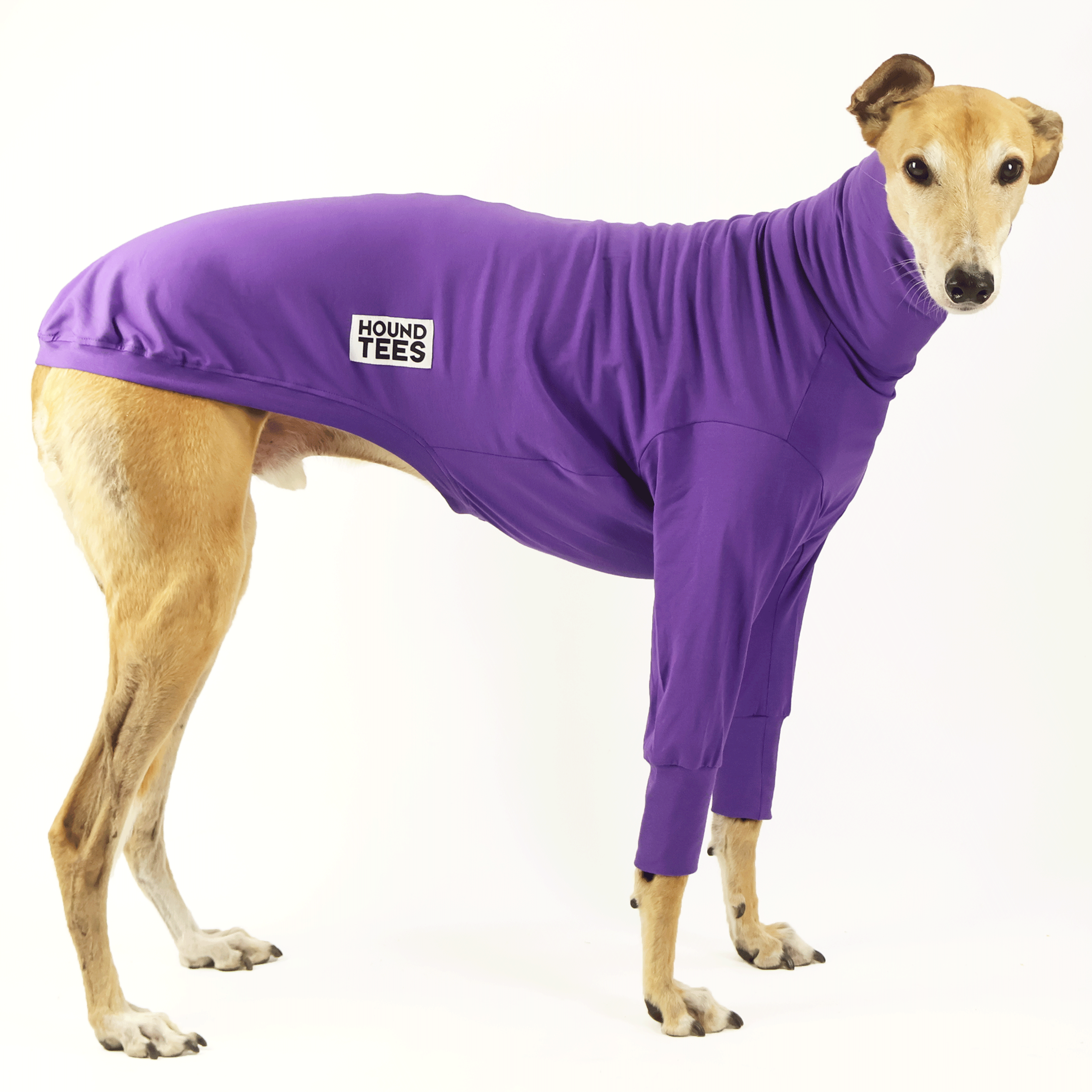 Royal Roach Greyhound Long Sleeve Base Layer Shirt for Men - Thermal Underwear for Cold Weather, Running & Outdoor Activities