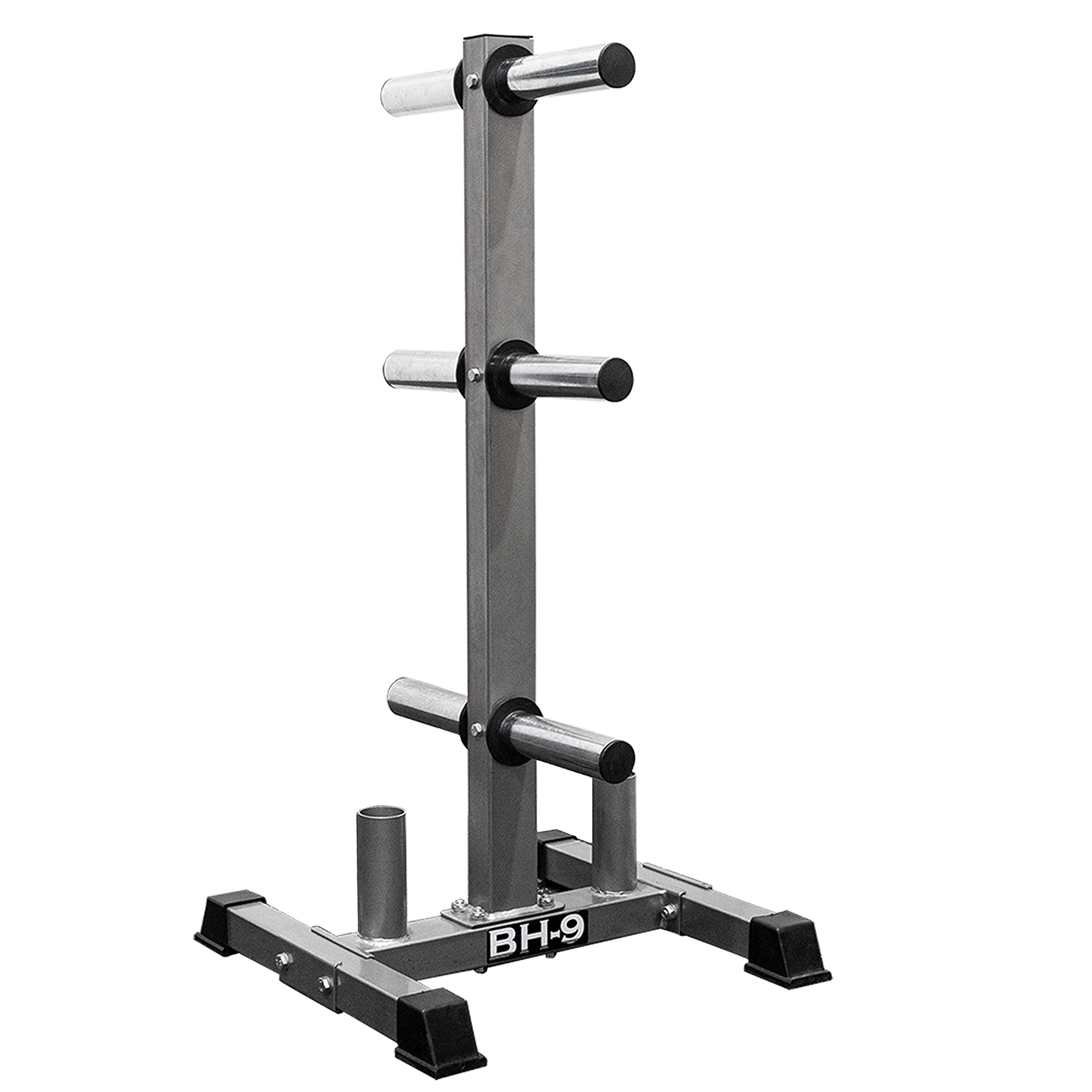 Valor Fitness Olympic & Standard Weight Plate Rack - Heavy Duty Plate Storage Tree Stand with Bumper Plate Holder & Barbell Storage for Home Gym, Garage Gym, and CrossFit Workouts