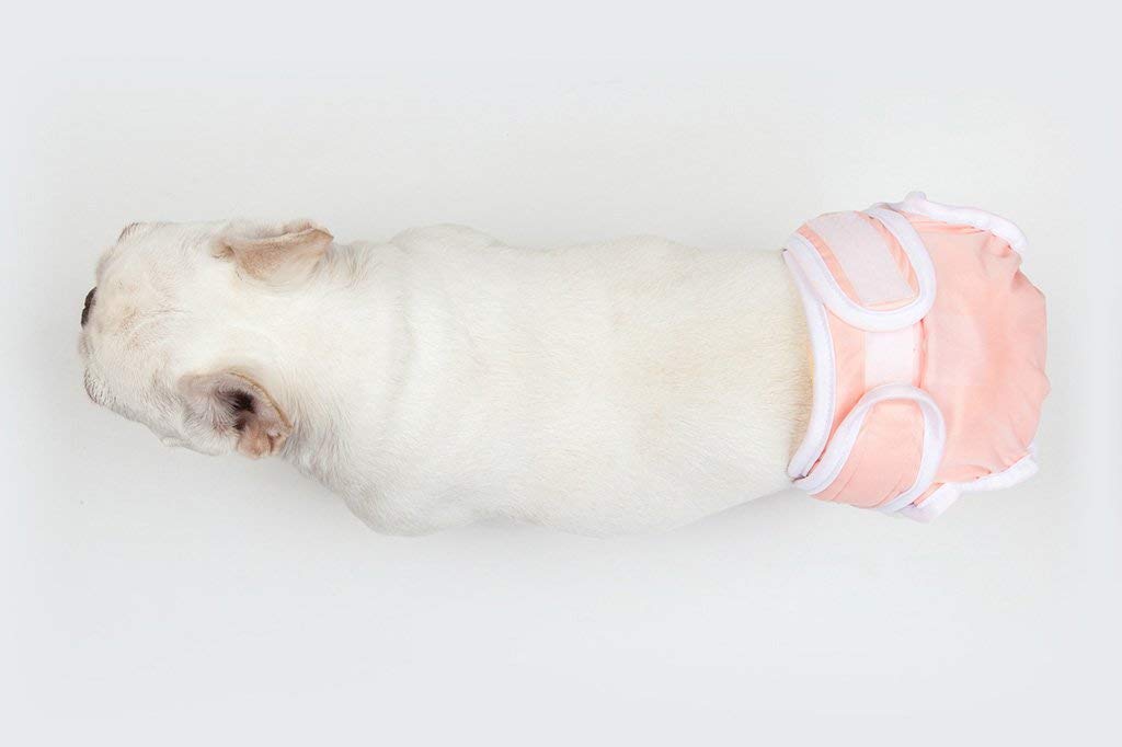 Washable Wonders Female Dog Diapers - No Tail Hole, Premium Reusable & Absorbent Pet Panties for Small Dogs (XS, Pink) | Perfect for House Training, Incontinence Protection & Travel