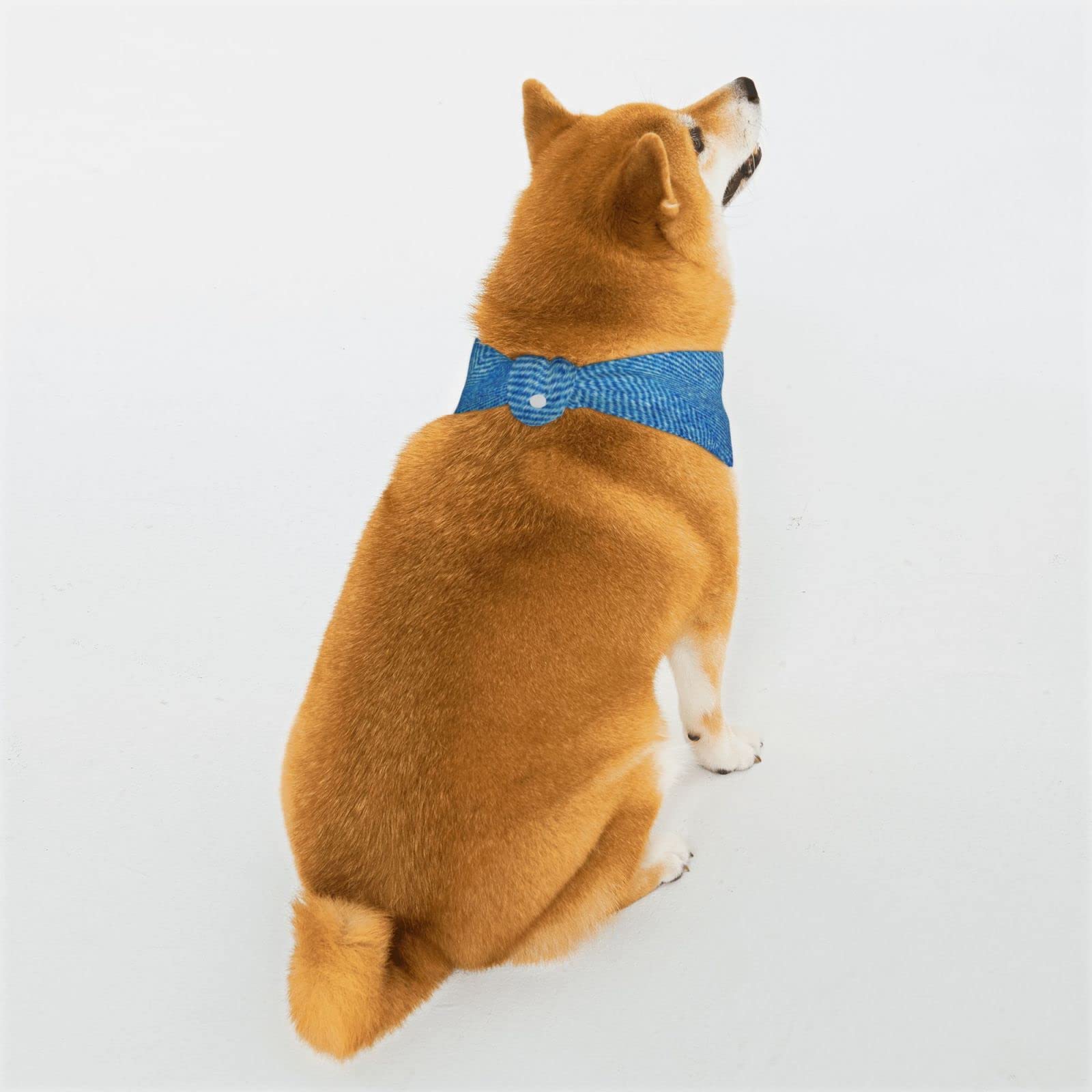 Denim Blue Adjustable Dog Bandana with Snaps - Triangle Pet Scarf for Small, Medium & Large Dogs - Perfect for Walks, Photos & Special Occasions