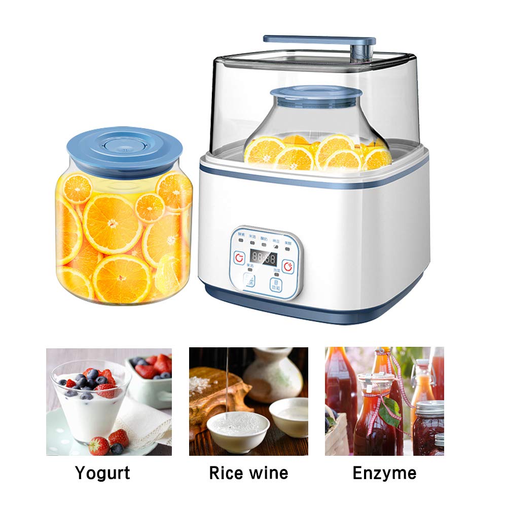Automatic Multi-Function Yogurt Maker with Enzyme Starter - Large Capacity Fermentation Machine for Homemade Yogurt, Kefir & Probiotic Drinks - Perfect for Healthy Breakfast, Snacks & Gut Health