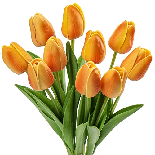 10pcs Gradient Orange