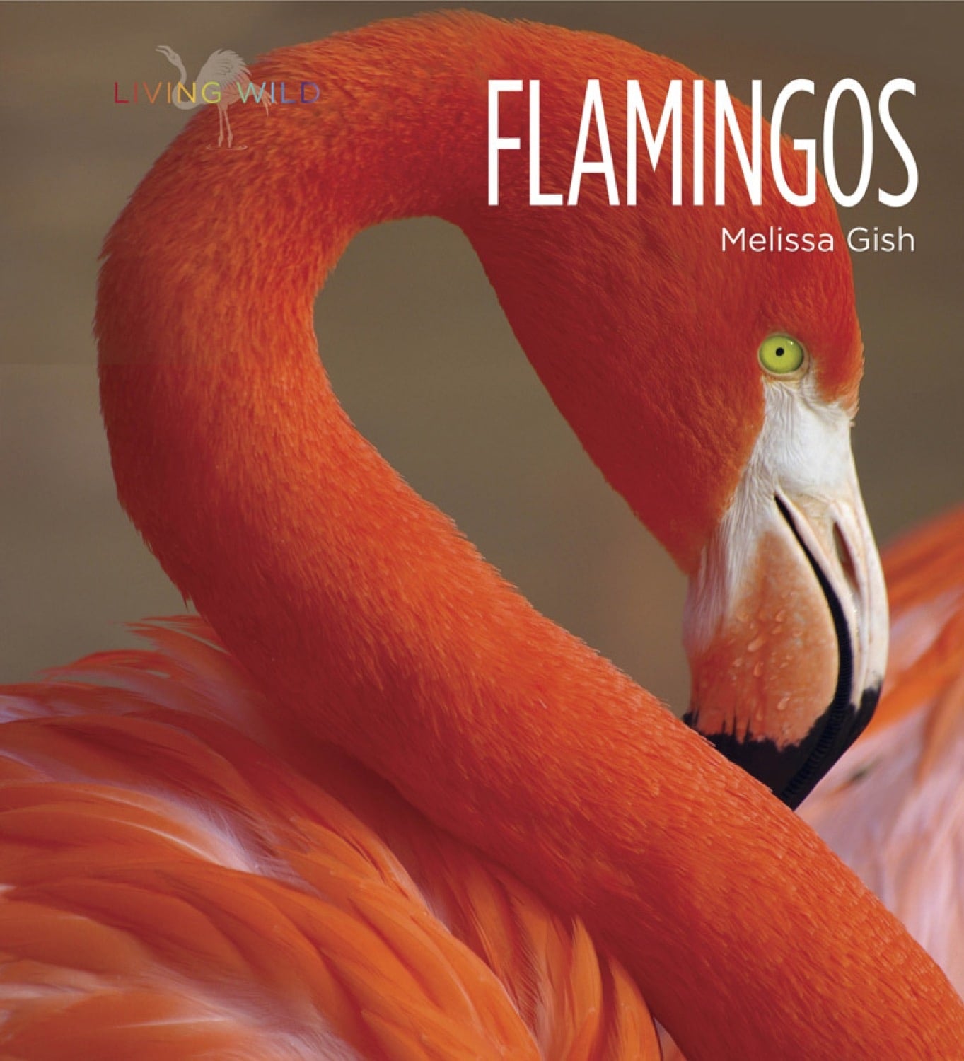 Flamingos Book ISBN 9781608184163 - Perfect for Bird Lovers, Nature Enthusiasts & Home Decor
