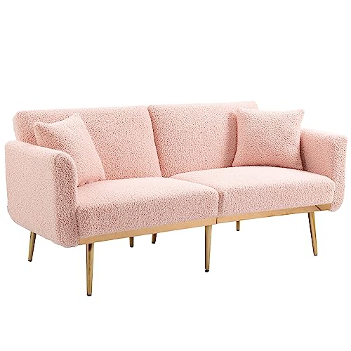 Pink Teddy