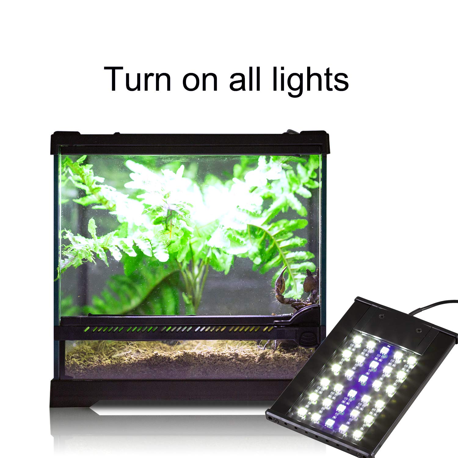 REPTI ZOO Reptile LED Terrarium Light - Day & Night Mode with White & Blue Light for Lizards, Snakes, Geckos - Perfect for Desert & Tropical Habitats