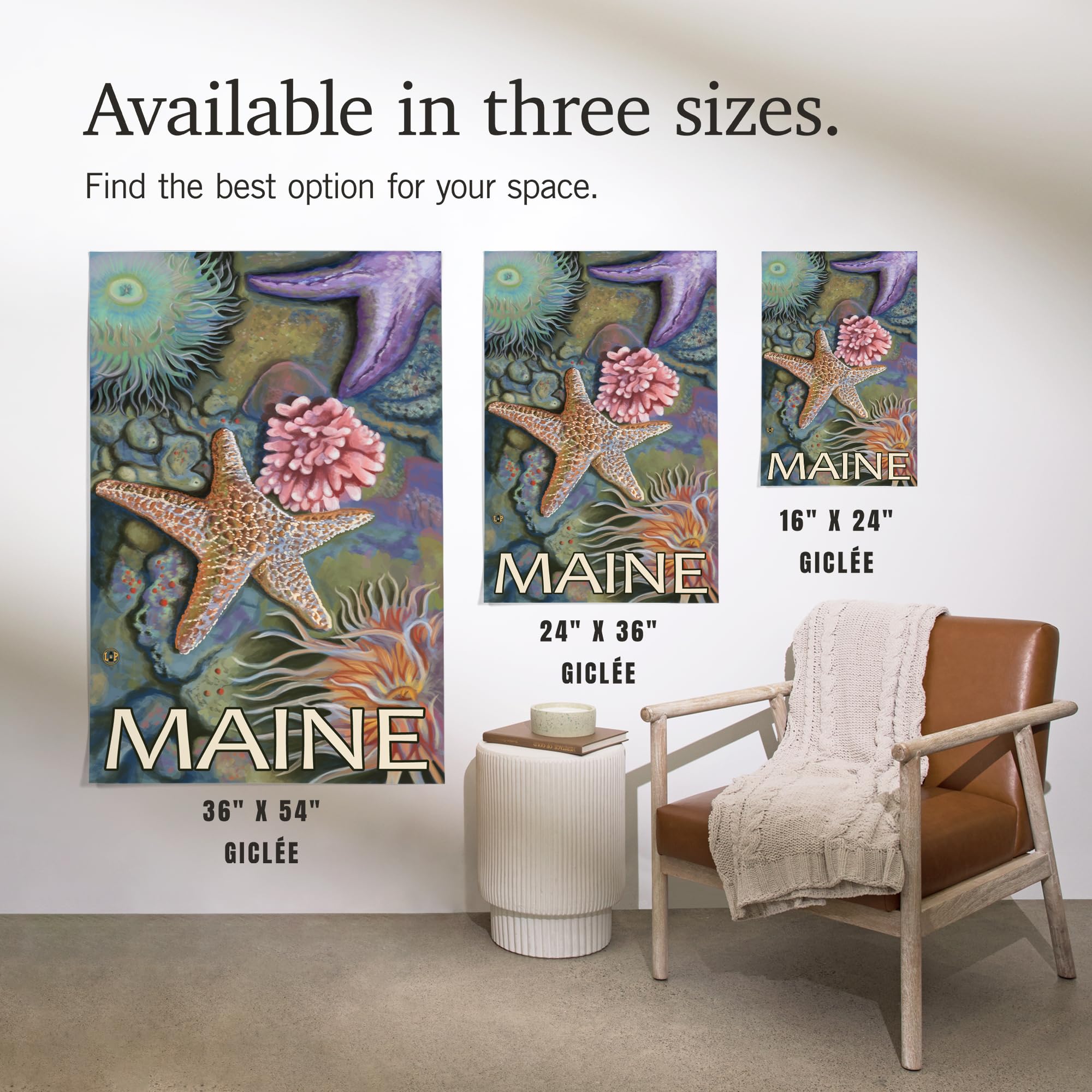 Lantern Press 16x24 Inch Giclee Art Print - Coastal Maine Tidepool Wall Decor - Premium Canvas Wall Art for Living Room, Bedroom & Office