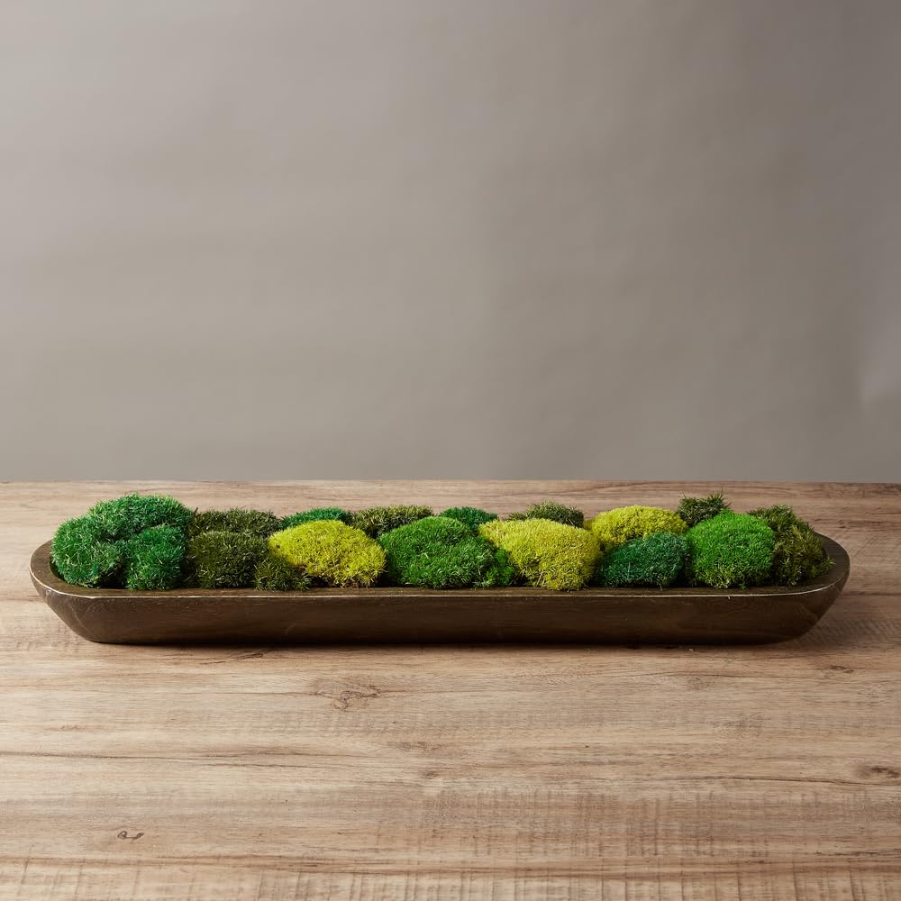 4 Color Mix Preserved Pole Moss - Green A, B, C, D with 5 Ferns (1.5 sq.ft) | Natural Floral Decor for Easter, Wedding Centerpieces & Table Scenery | DIY Terrarium, Fairy Garden & Home Decoration