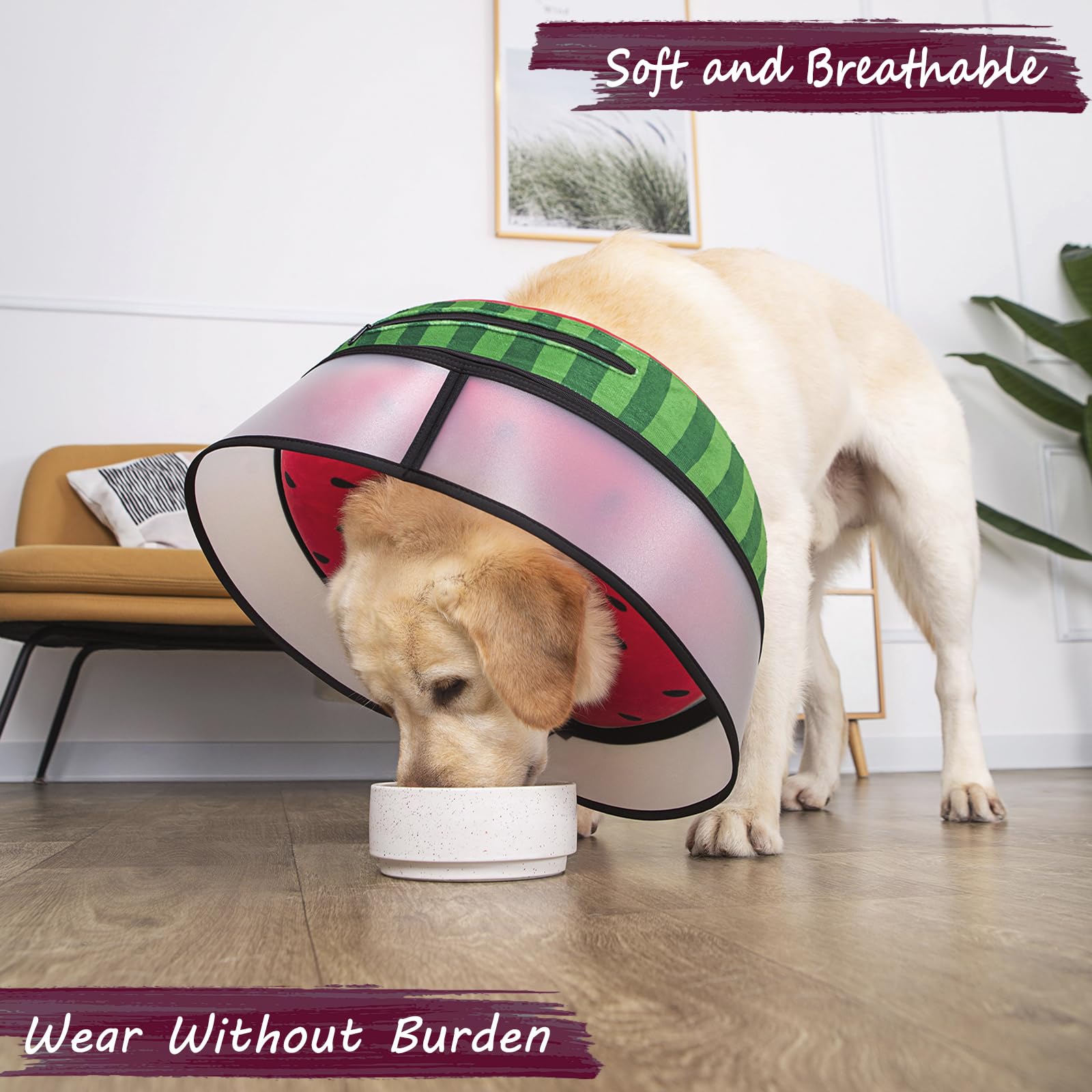 **Inflatable Dog Cone Collar for Surgery Recovery - Soft Anti-Licking Neck Donut for Small, Medium & Large Dogs & Cats (Watermelon, Large) - Post-Surgery Comfort & Wound Protection**    *Use Case: Ideal for post-surgery recovery, wound healing, and preventing pets from licking or scratching injuries.*
