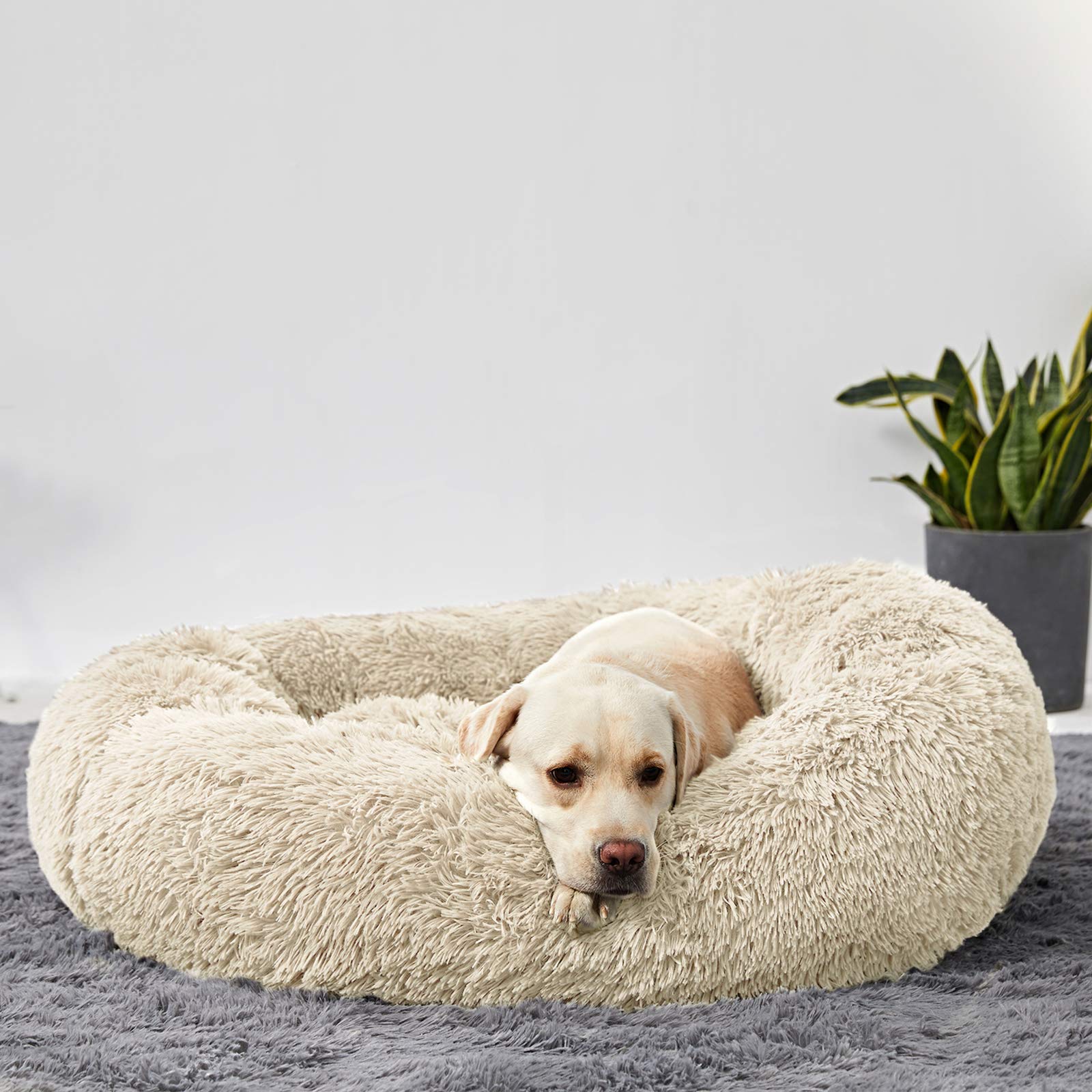 Washable Large Round Donut Dog Bed - Comfy Calming Cuddler Pet Bed for Medium & Large Dogs - Perfect for Anxiety Relief, Crate Training & Cozy Napping