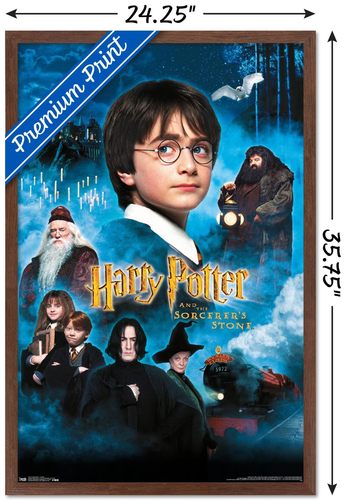 Trends International Harry Potter and the Sorcerer's Stone Movie Poster - 22.375x34 Inch Mahogany Framed Wall Art for Home Theater, Bedroom Decor, and Gift Ideas