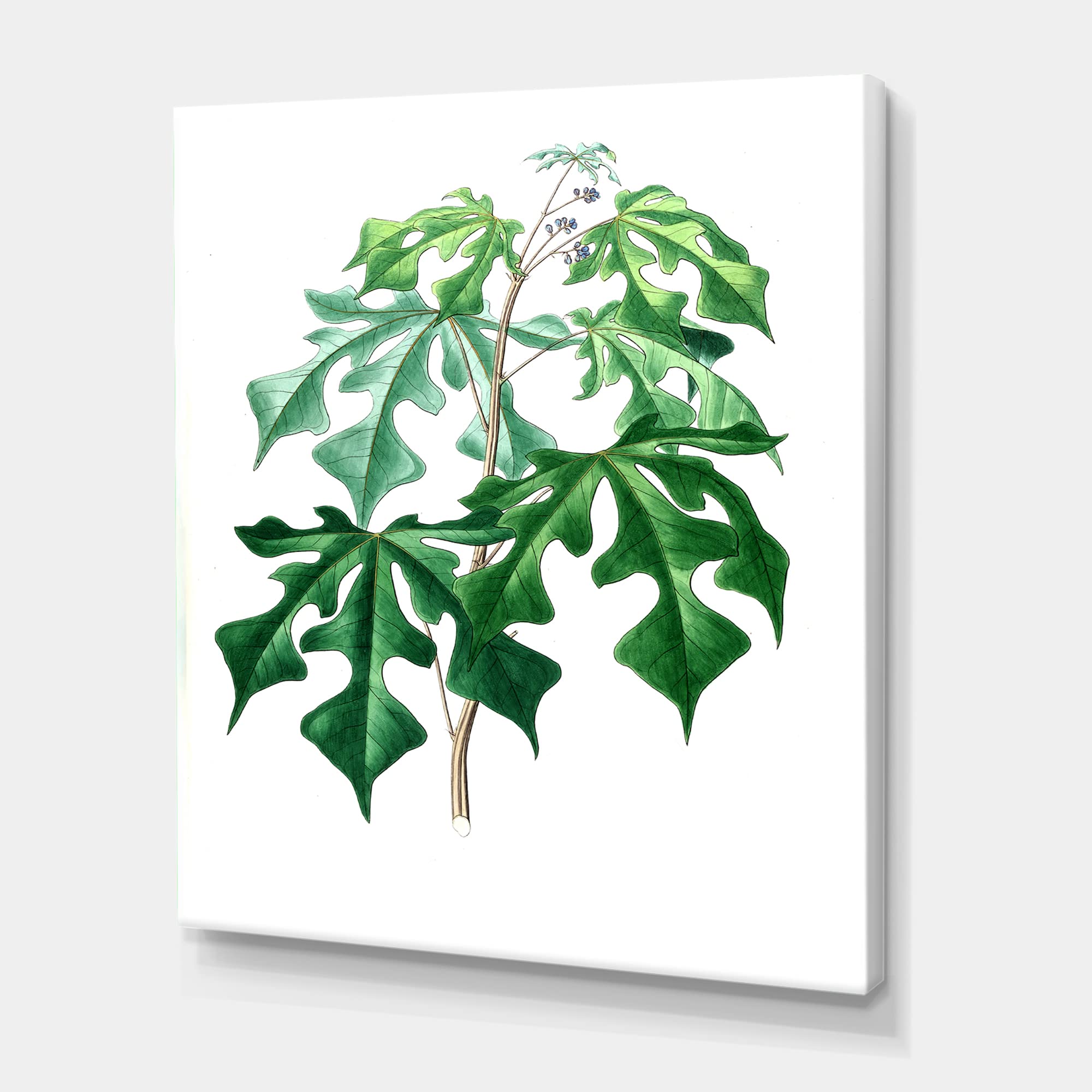 Vintage Green Leaves Plants II Traditional Canvas Wall Art - Hand Painted Botanical Decor for Living Room, Bedroom & Office