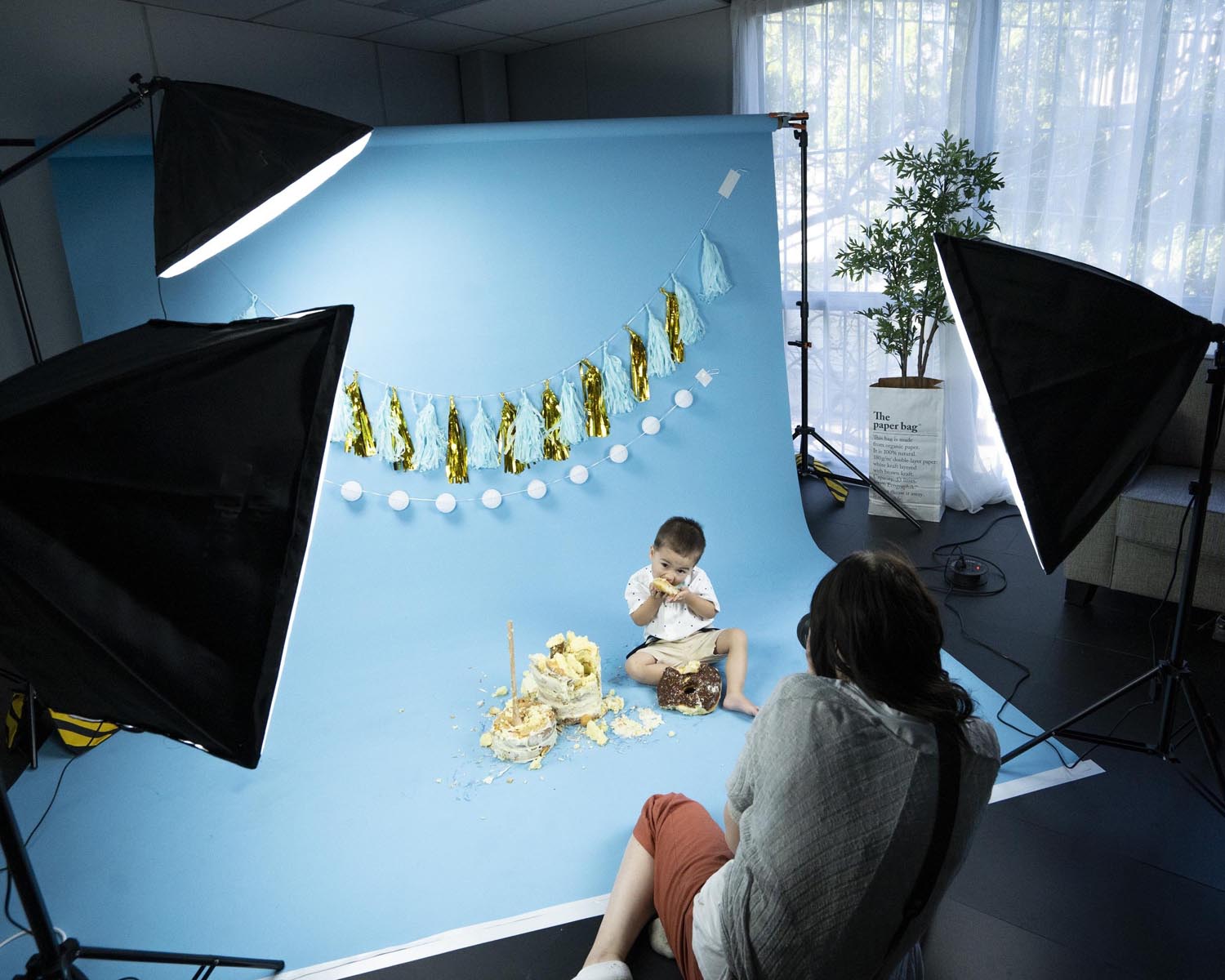 Professional DIY Photography Lighting Kit for Cake Smash - Complete Bundle with Softbox, Backdrop & Props (Perfect for Baby's 1st Birthday, Maternity & Newborn Photo Shoots)