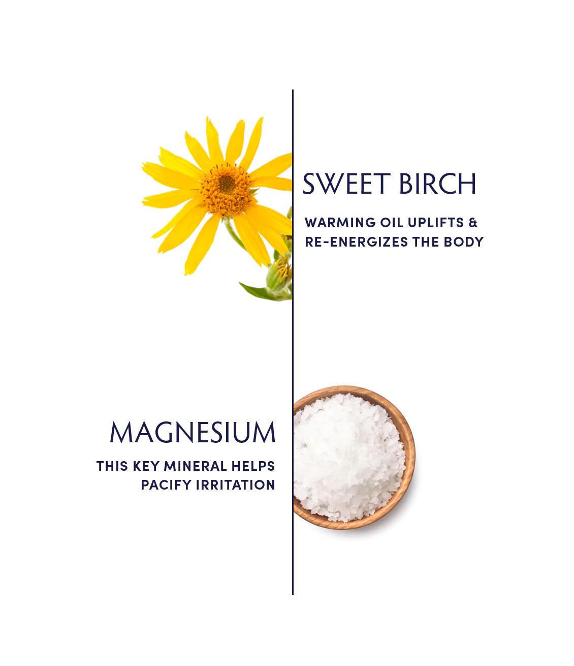 Naturopathica Sweet Birch Magnesium Bath Flakes for Relaxation & Muscle Recovery – Soak Away Stress & Soothe Aches in a Luxurious Detox Bath