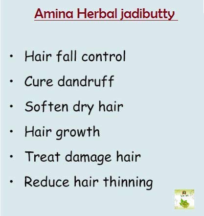 Amina Herbal Natural Hair Oil for Hair Fall & Dandruff Treatment - 300ml (Pack of 1) | Promotes Hair Growth & Scalp Health | Perfect for Daily Hair Care & Ayurvedic Treatment