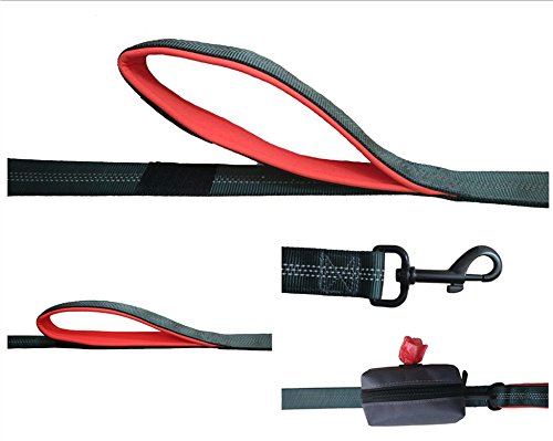 Glanzzeit 6 ft Heavy Duty Reflective Dog Leash with Poop Bag Dispenser & 2 Soft Padded Handles - Durable Nylon Lead for Large Dogs, Walking, Training, Hiking (Orange) - Includes Free Roll of Waste Bags