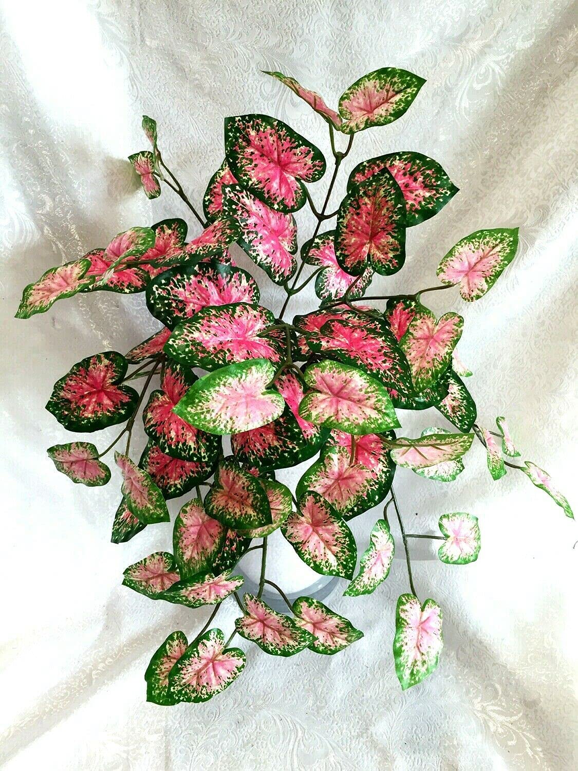 SmartMe - Pink Caladium Bicolor Hanging Artificial Houseplant, Tropical Faux Plant with Variegated Leaves for Home Decor, Wedding Centerpieces & DIY Crafts - Perfect for Living Room, Bedroom, Office & Party Decorations