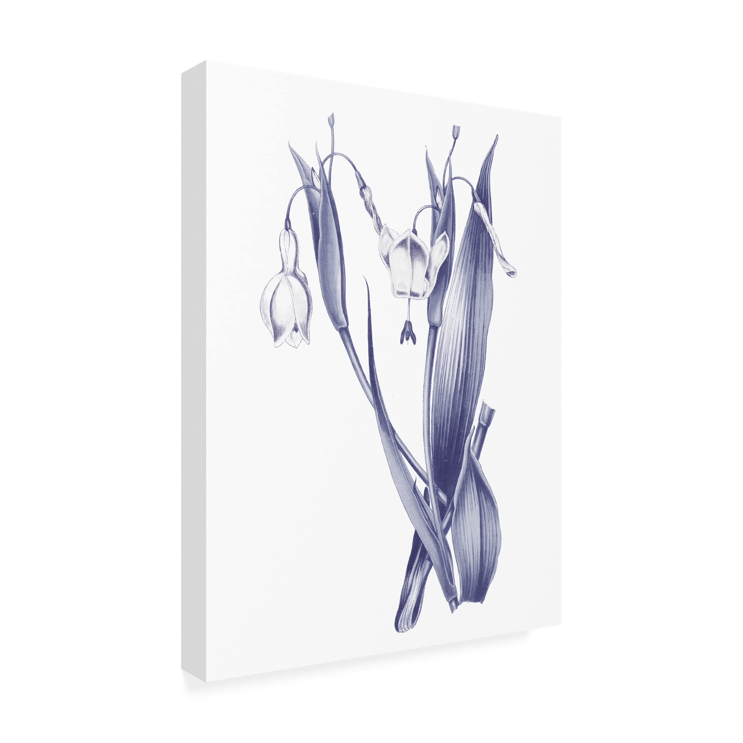 Wild Apple Portfolio 'Dark Blue Botanical II' Canvas Art Print - 14x19 Inches, Modern Home Decor for Living Room, Bedroom & Office