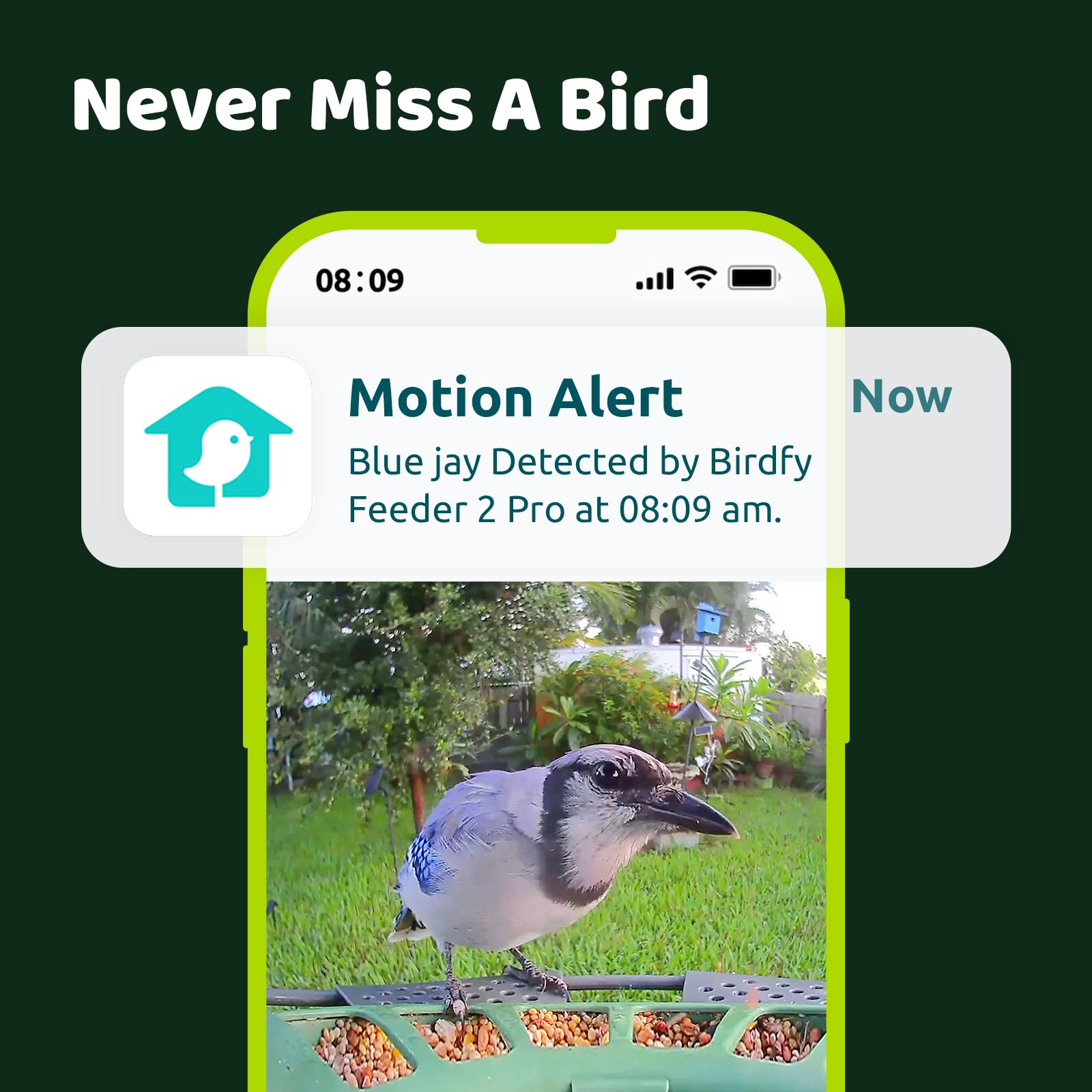 Smart Bird Feeder with Camera - Birdfy 2 Dual-Lens Solar Powered Wireless Bird Watching Feeder, AI Identifies 6000+ Species & Motion Detection, Perfect Gift for Bird Lovers (Backyard, Garden, Patio Use)