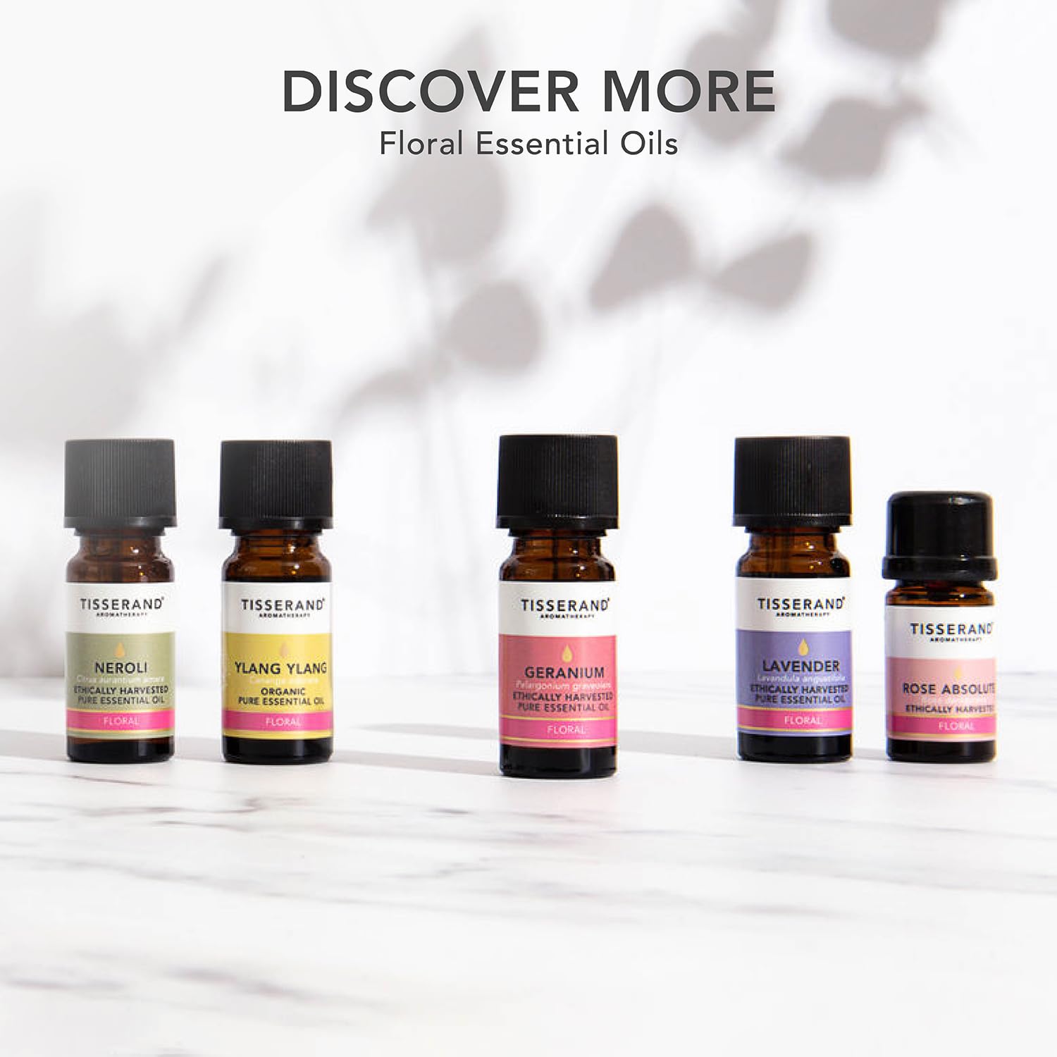 Tisserand Aromatherapy 100% Pure Natural Rose Absolute Essential Oil - Ethically Harvested, 9ml for Massage, Bath & Relaxation - Perfect for Spa, Yoga & Stress Relief